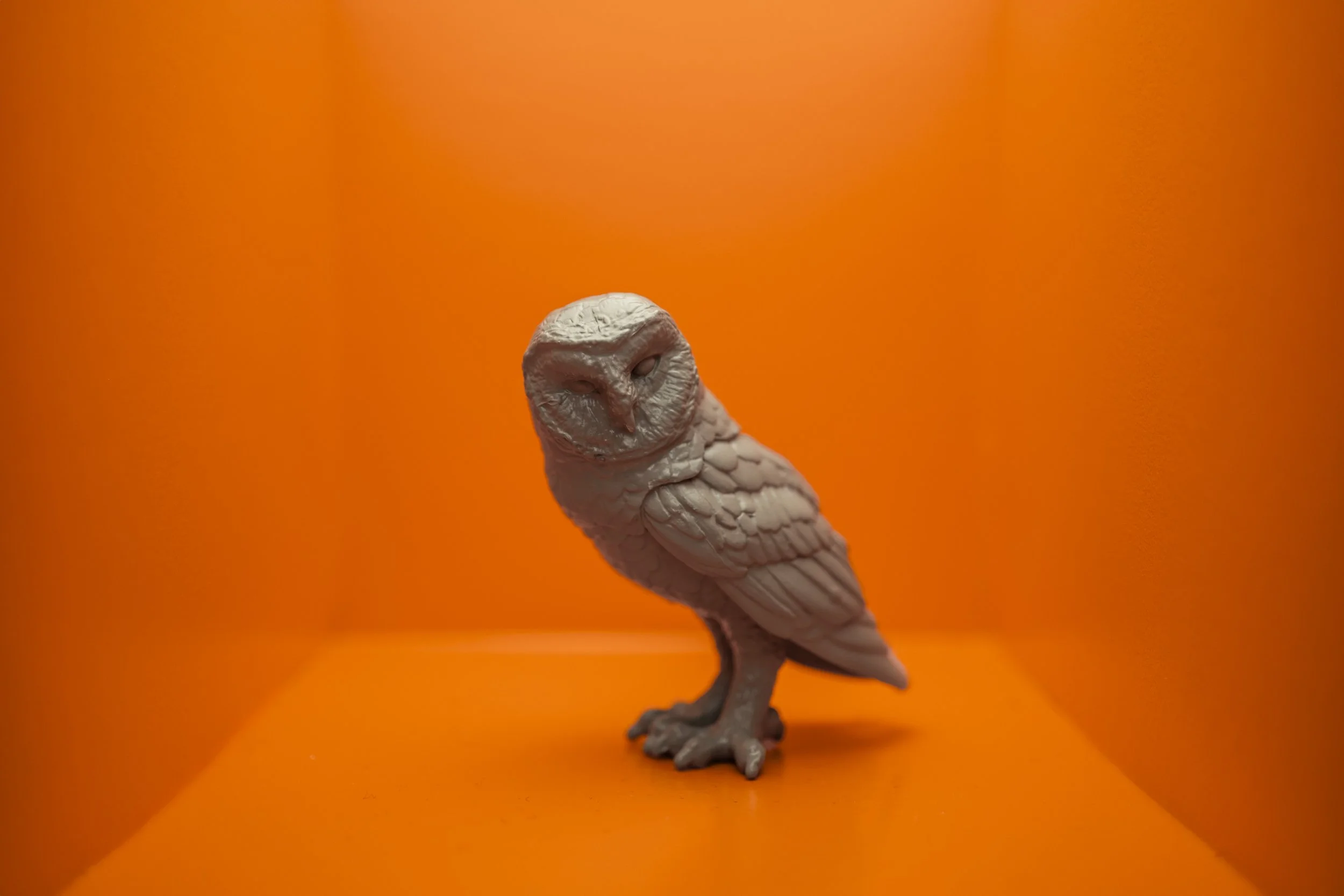 Owl002.jpg