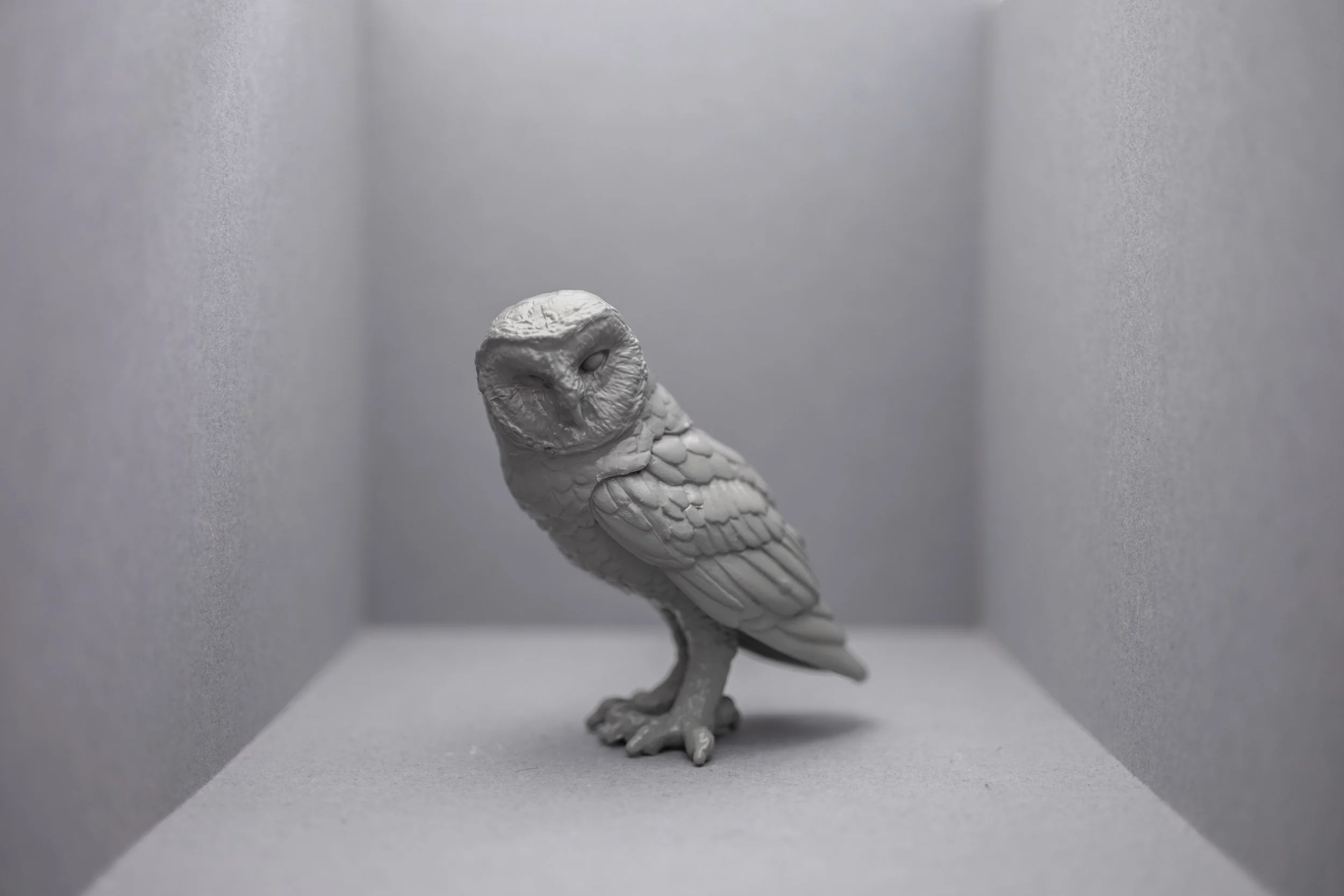Owl001.jpg