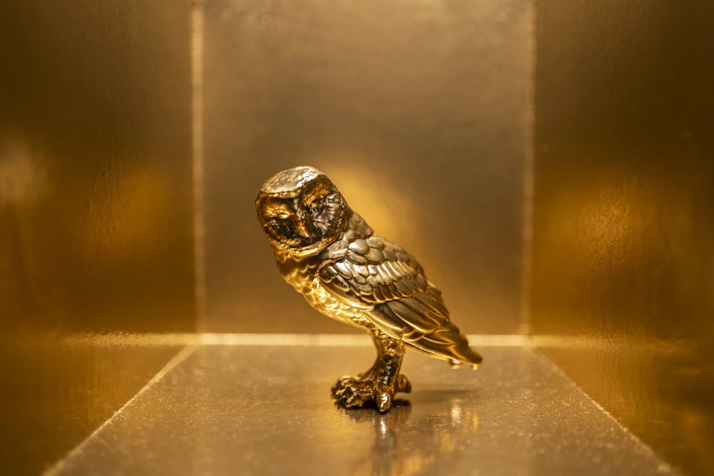 Owl003.jpg