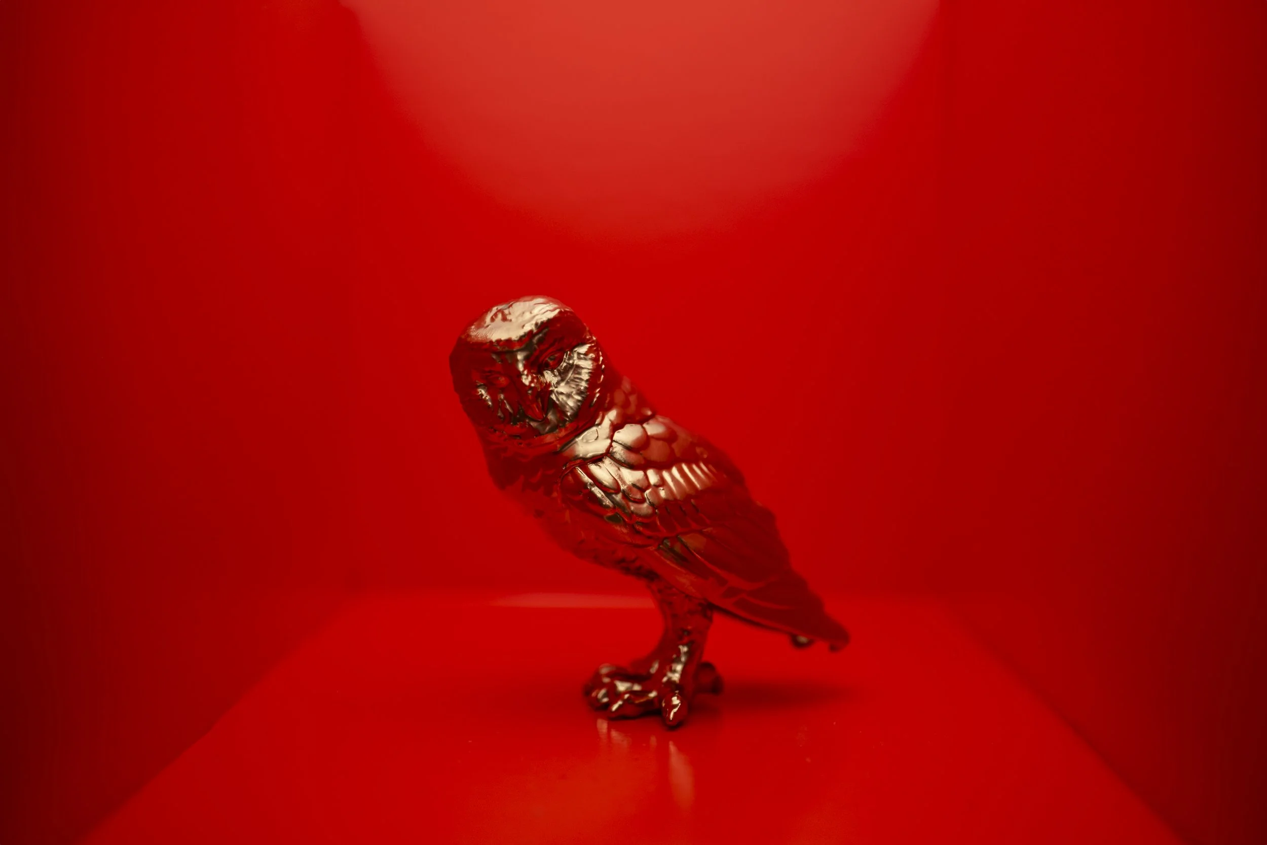 Owl006.jpg