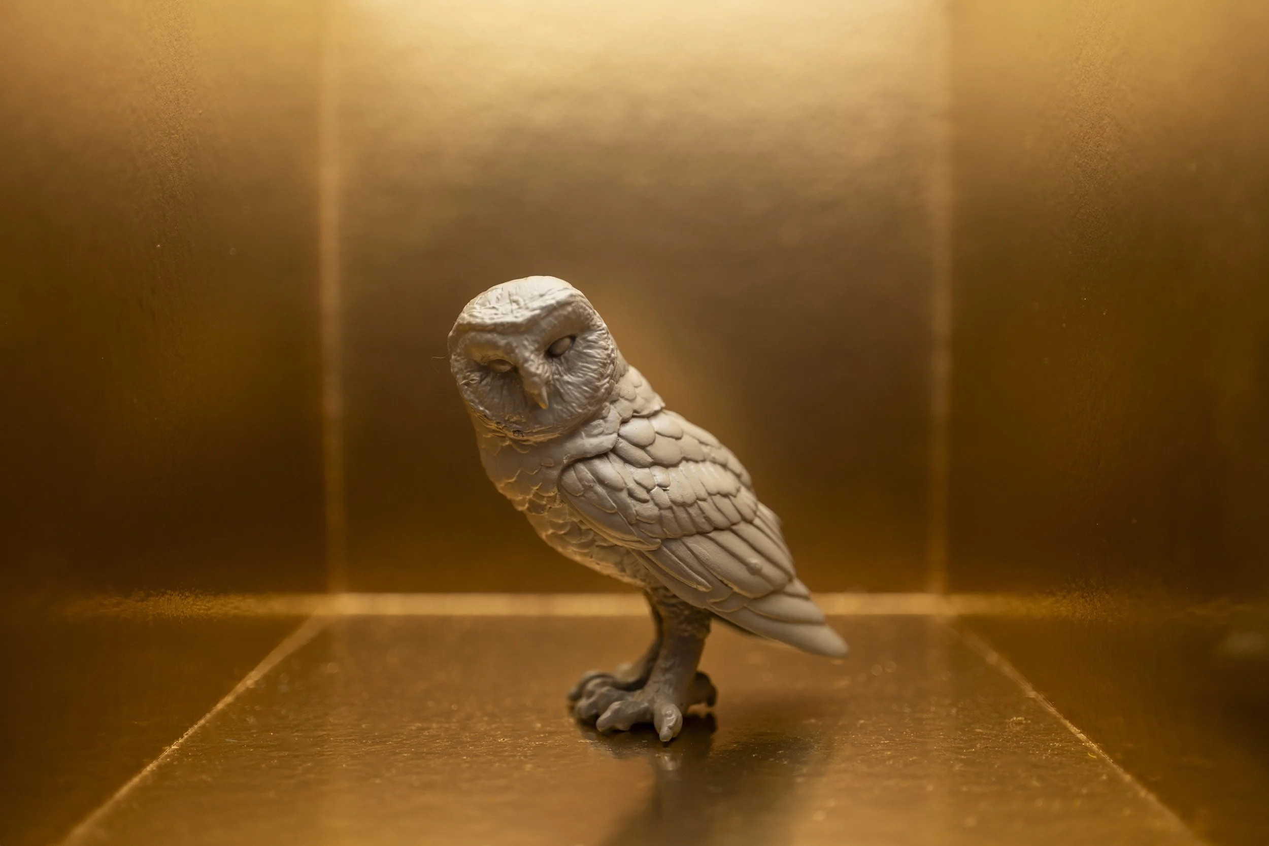 Owl005.jpg