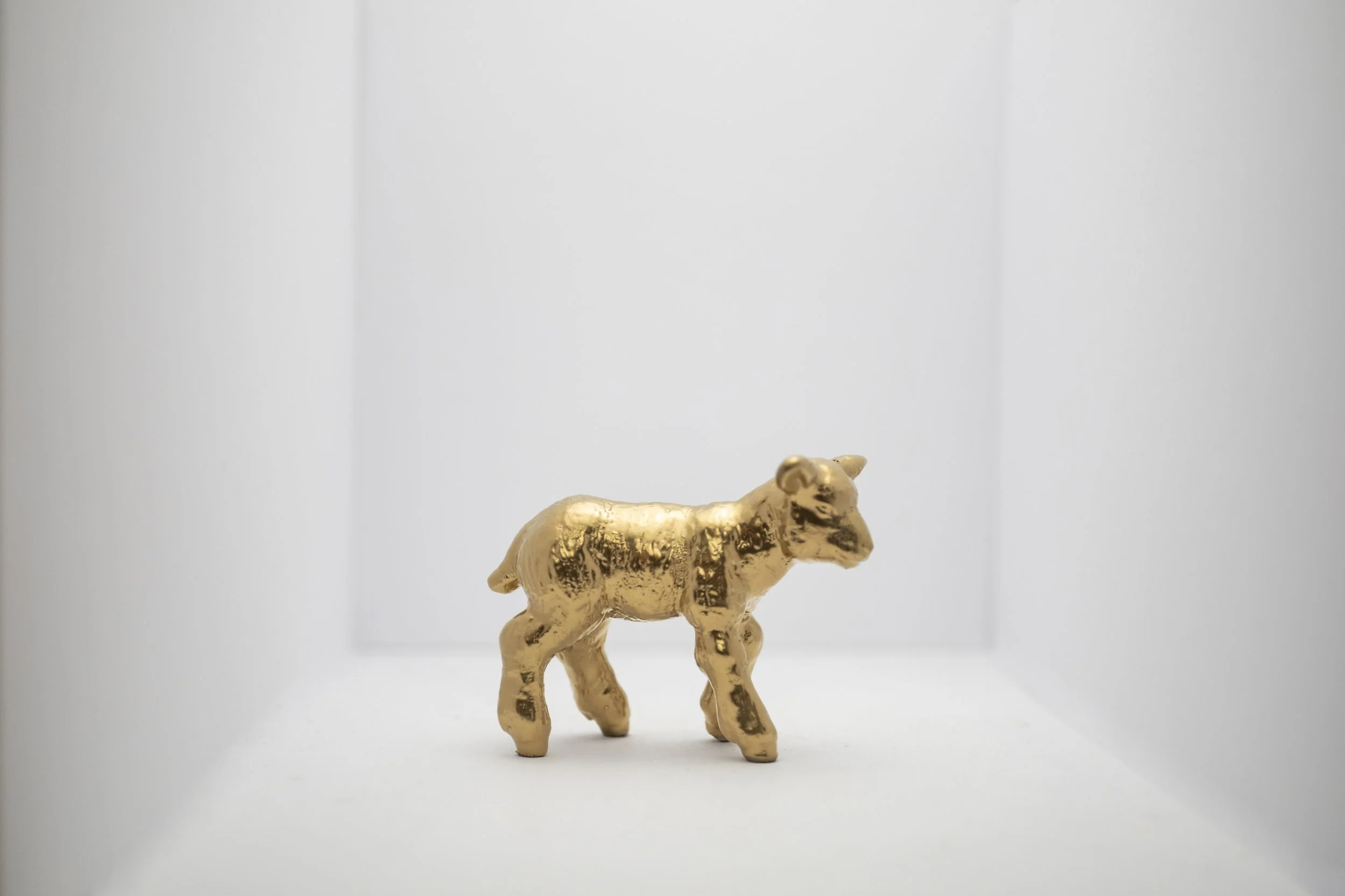 Lamb002.jpg