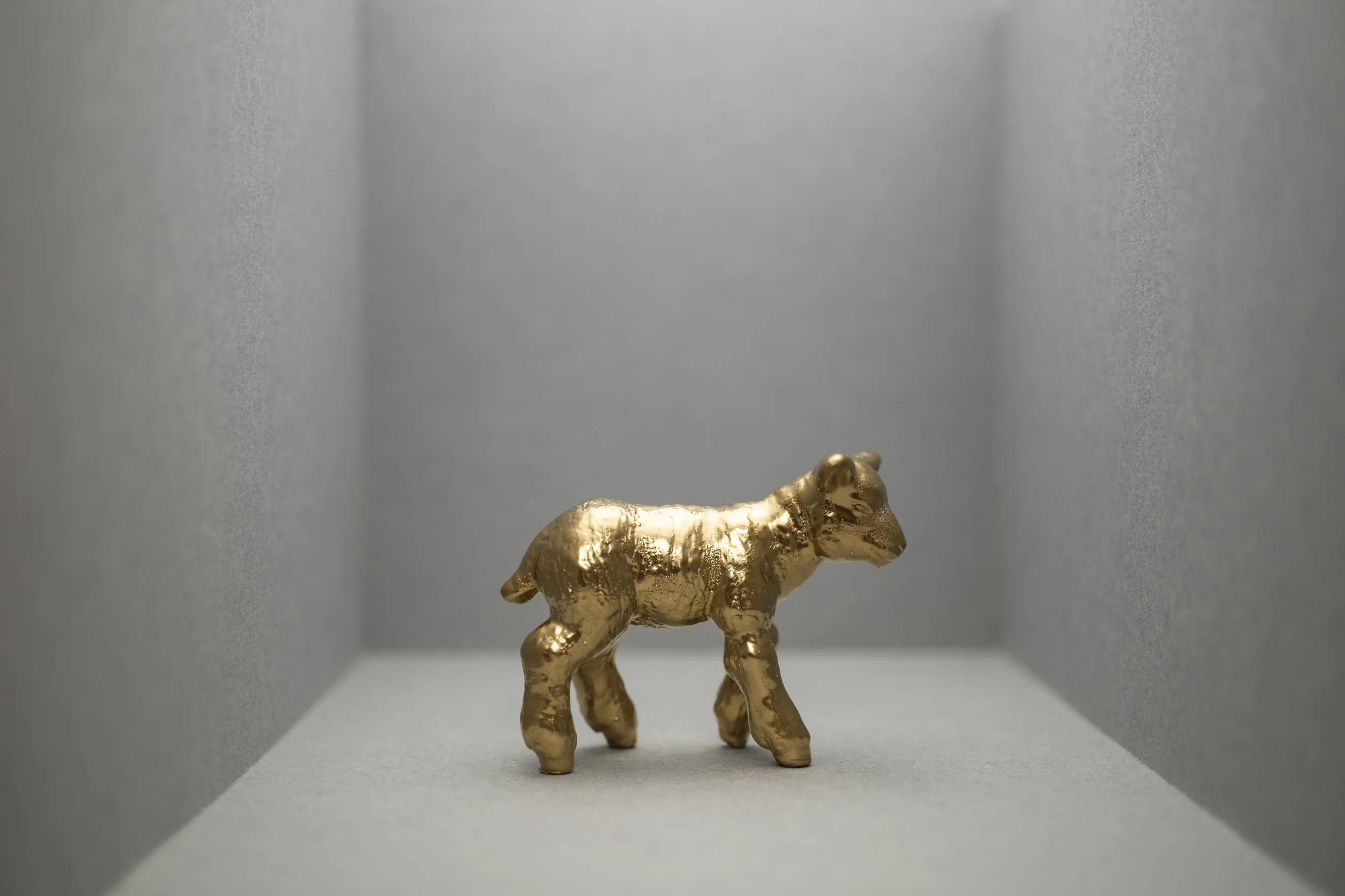 Lamb001.jpg