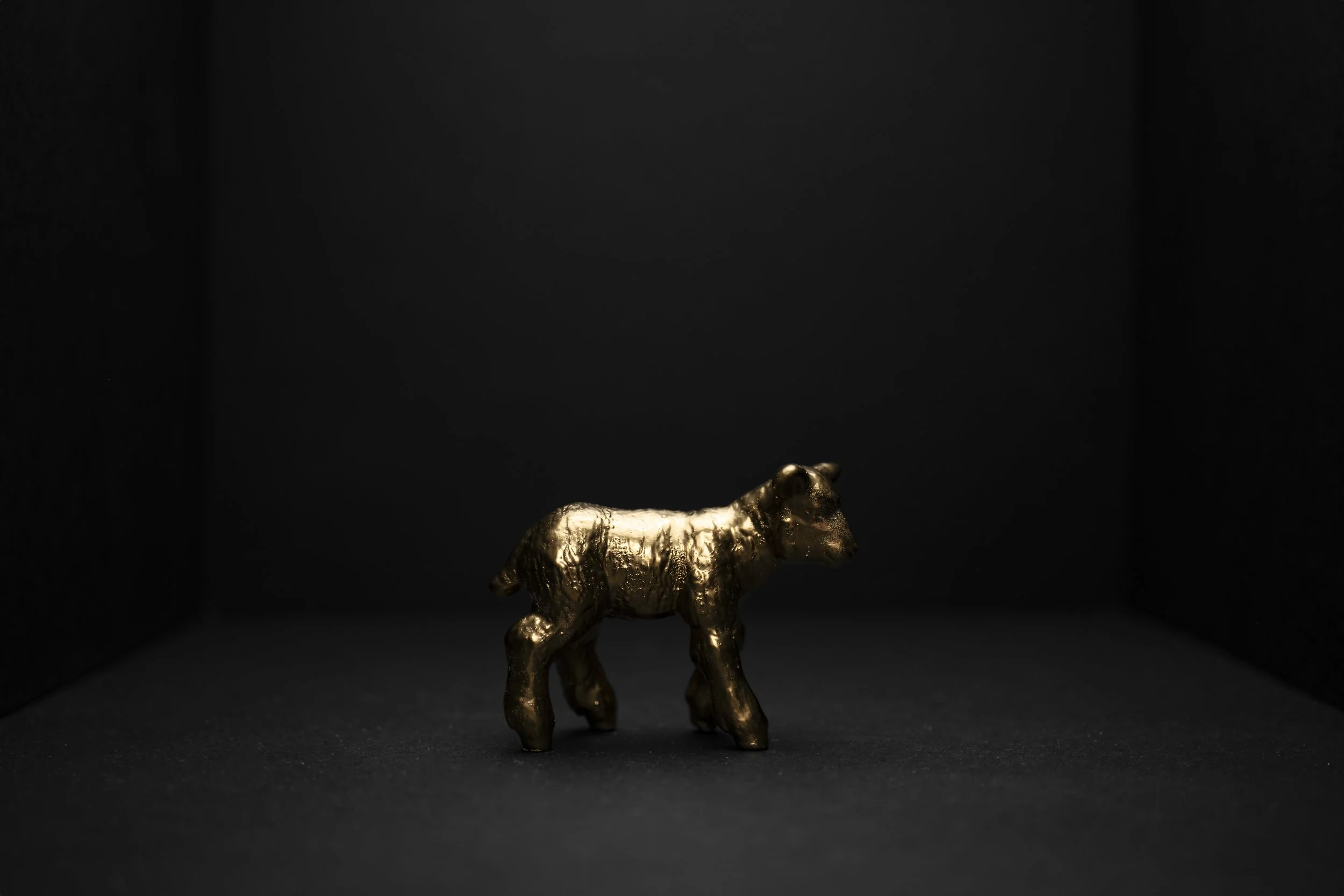 Lamb004.jpg