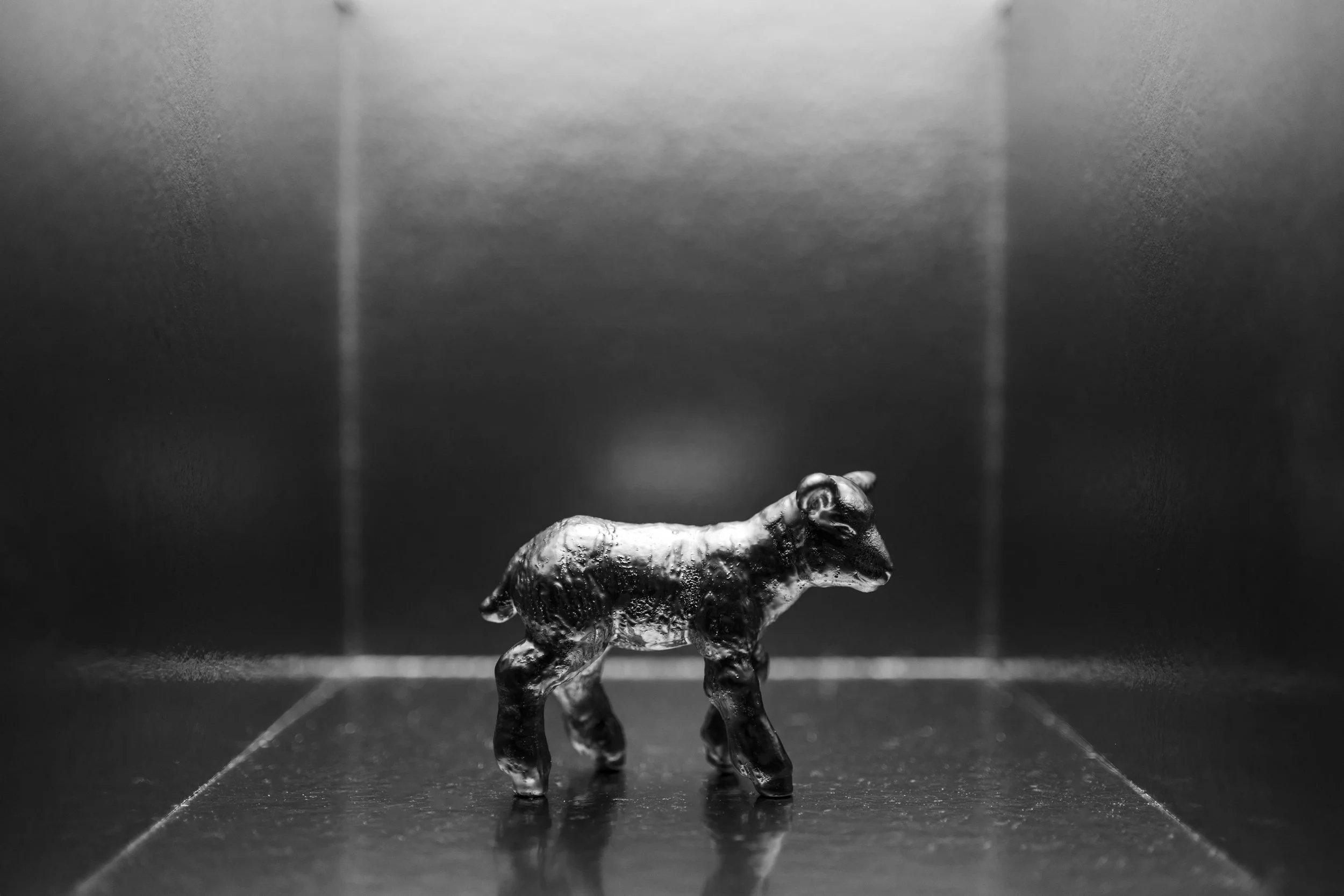Lamb003.jpg