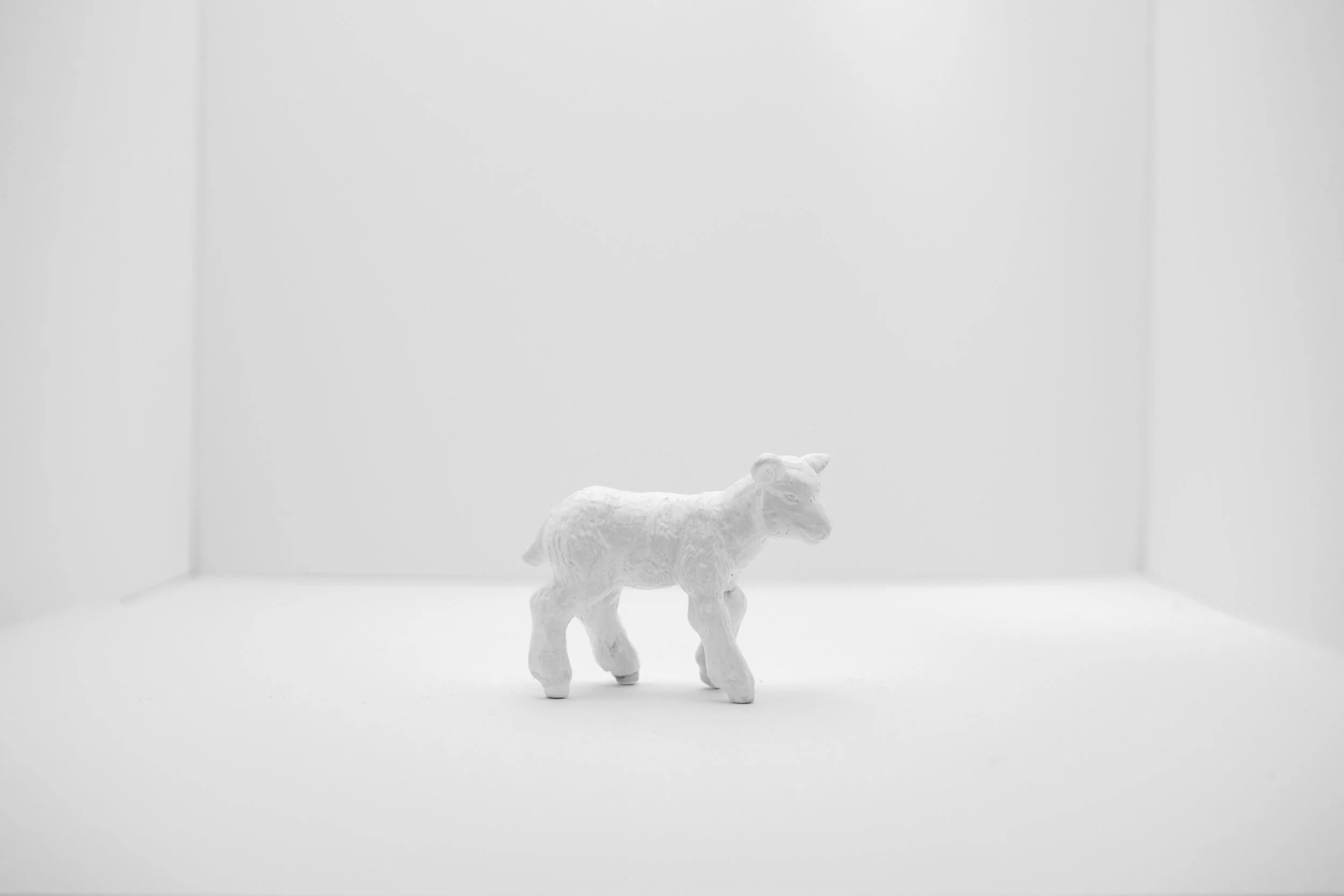Lamb007.jpg