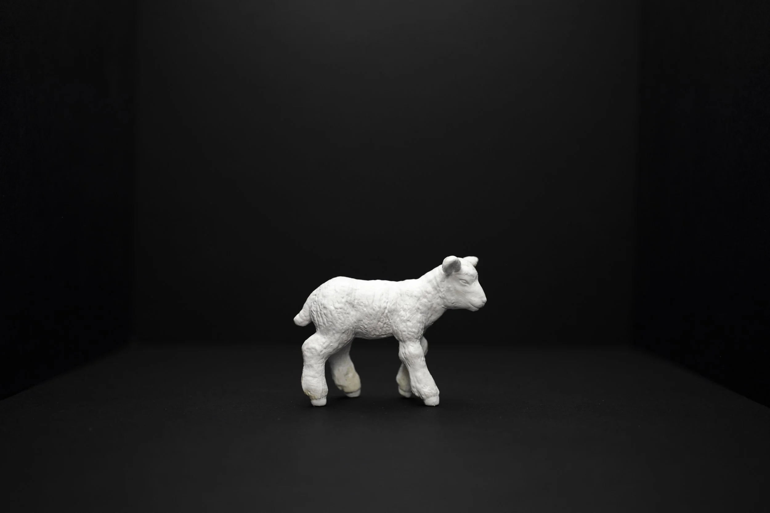 Lamb008.jpg