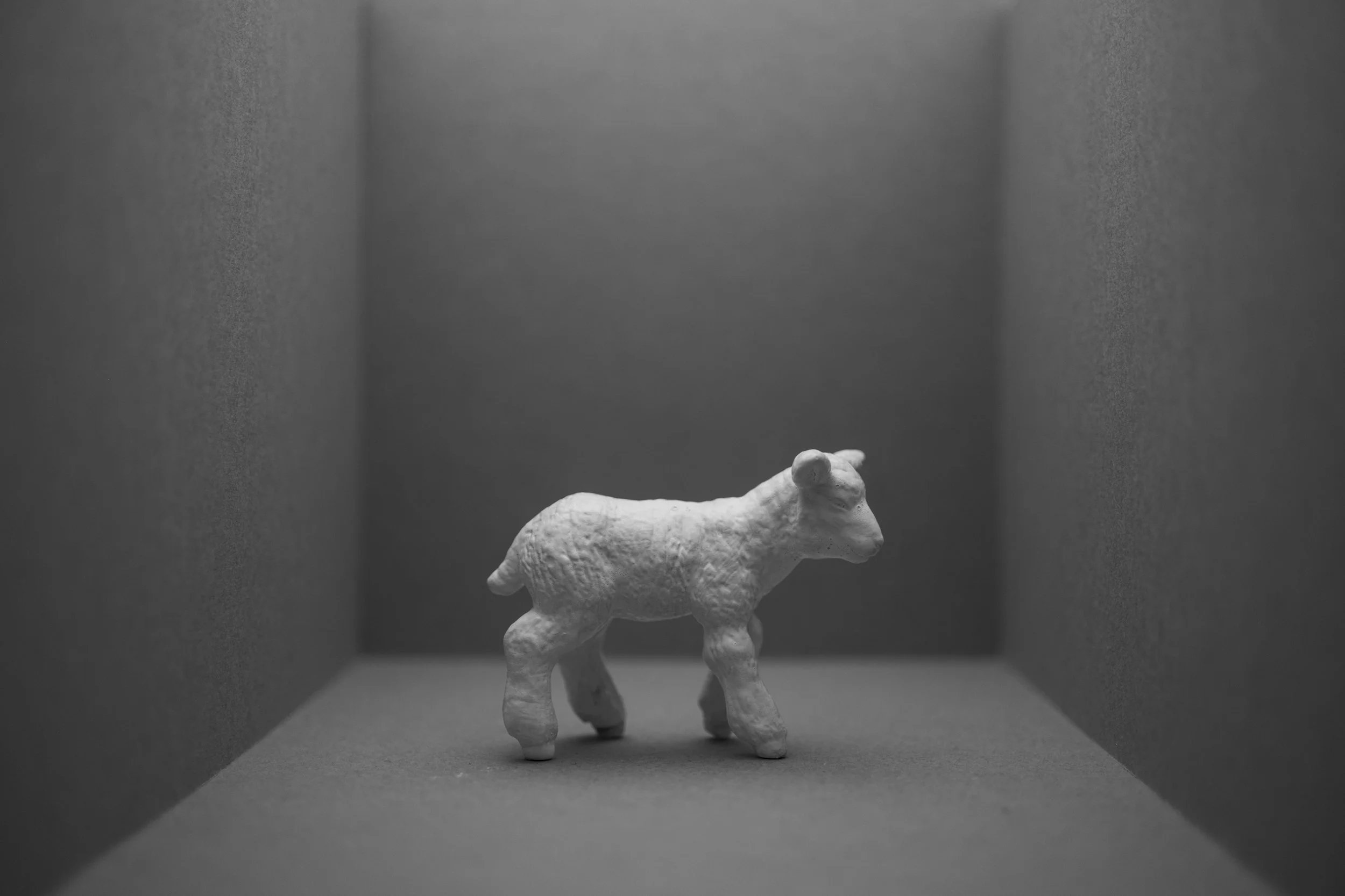 Lamb009.jpg