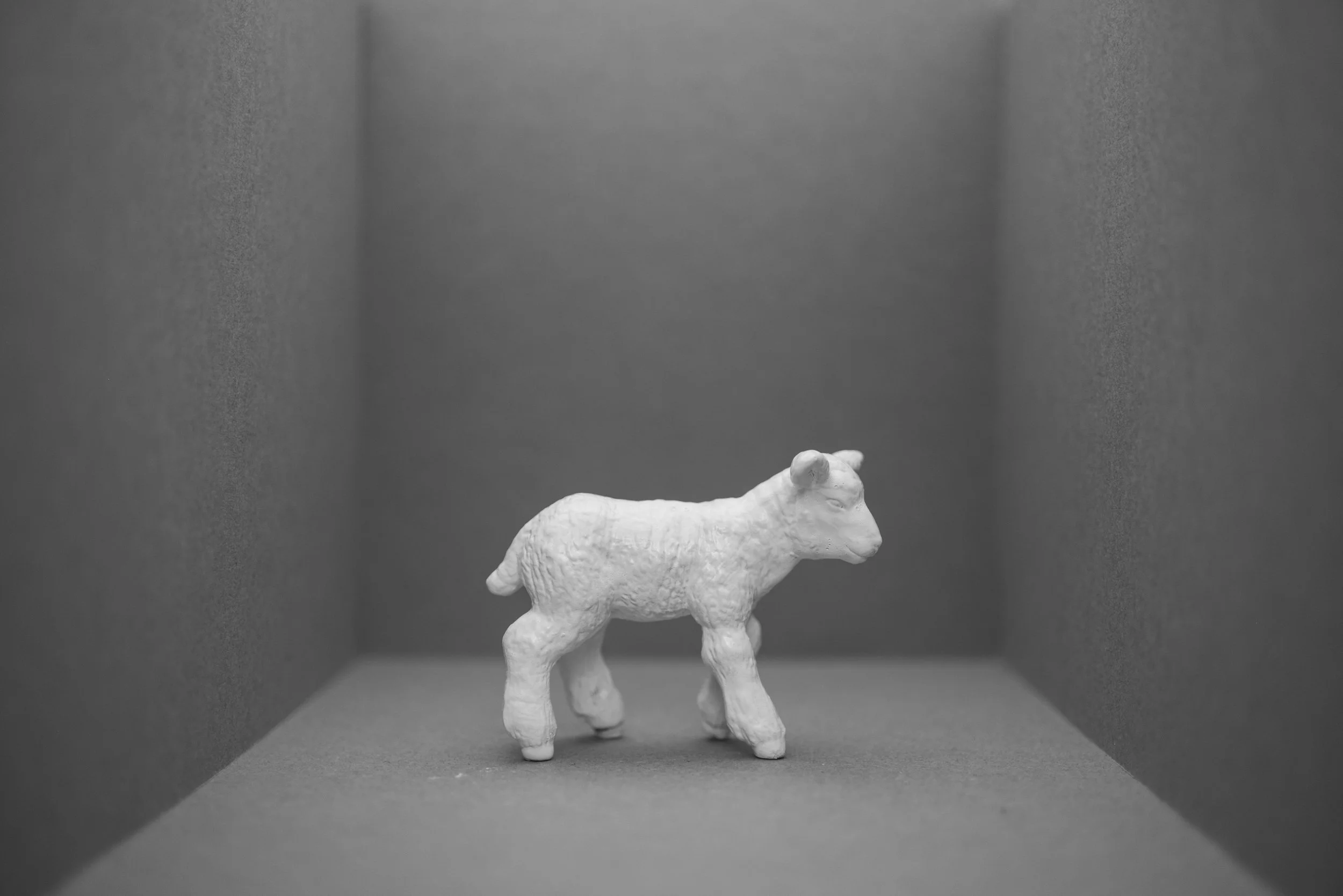 Lamb010.jpg