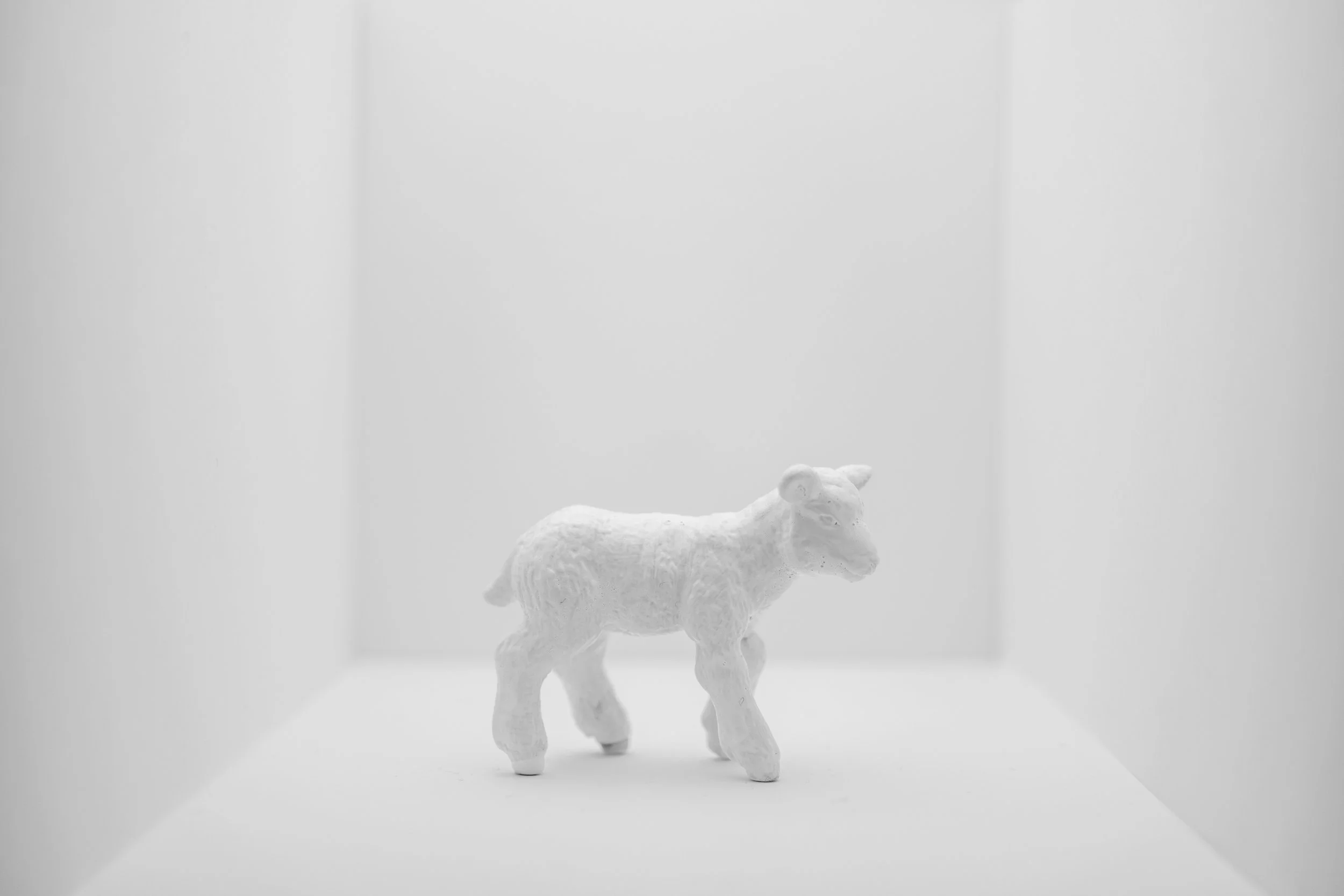 Lamb011.jpg
