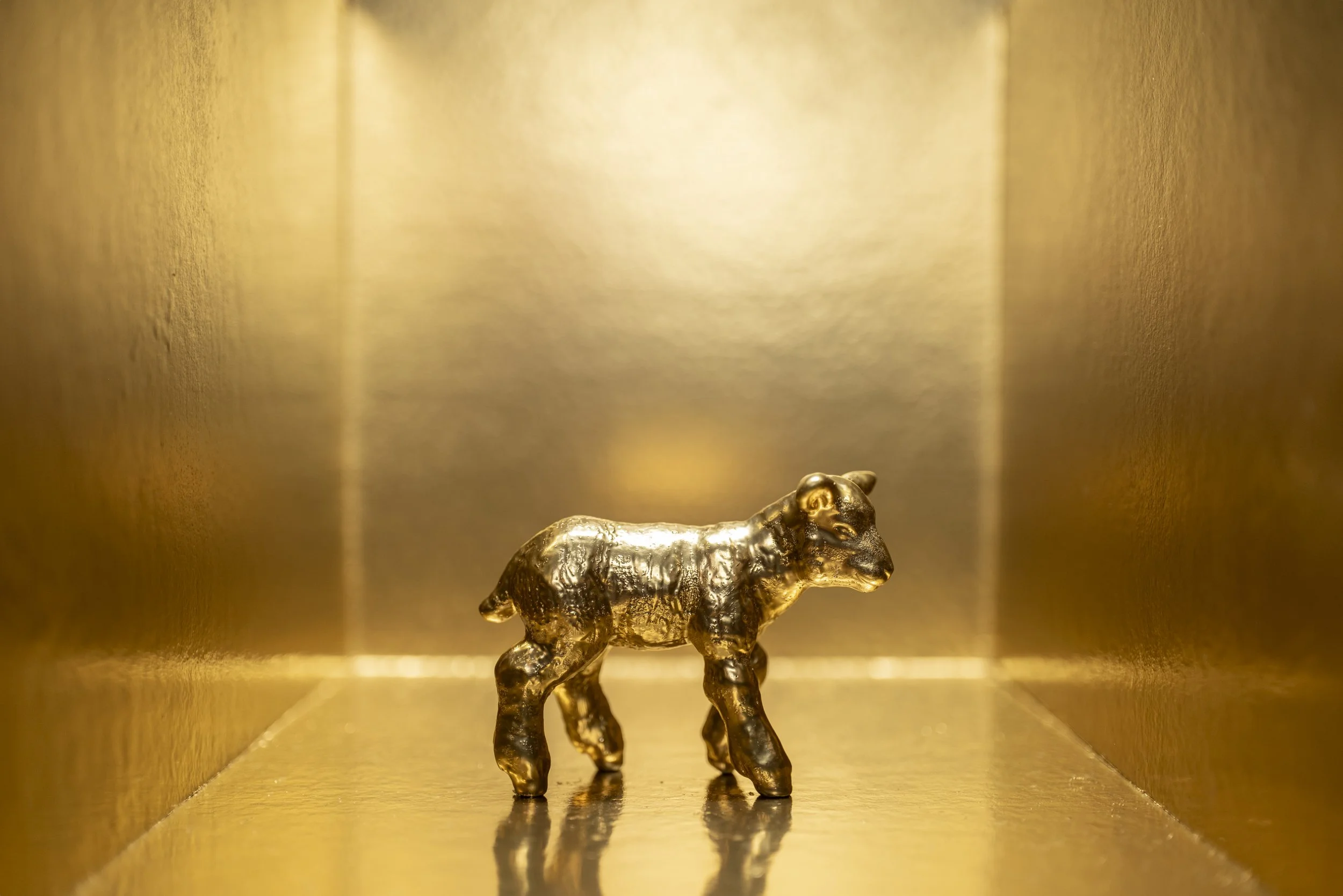 Lamb012.jpg