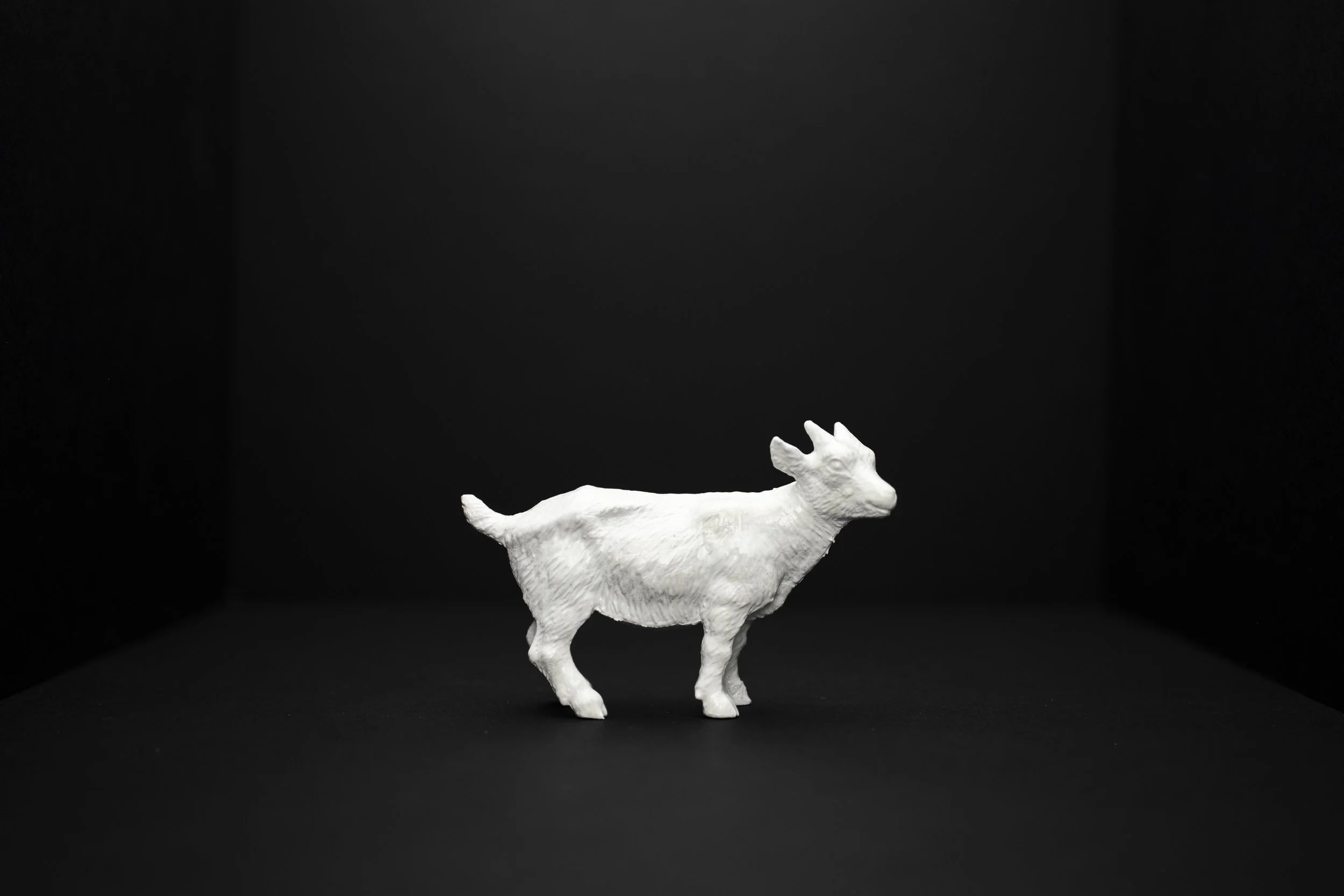 Goat001.jpg