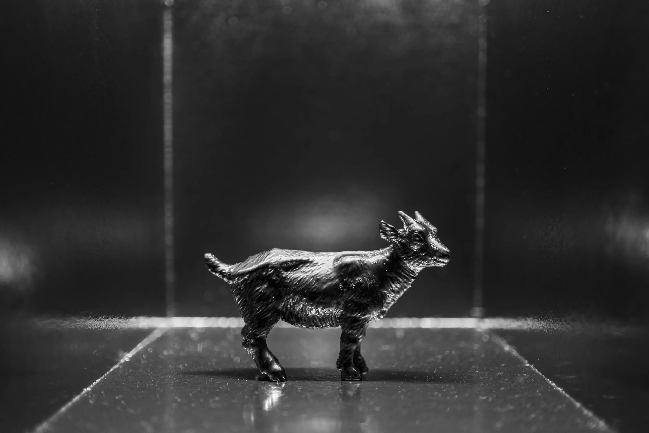 Goat002.jpg