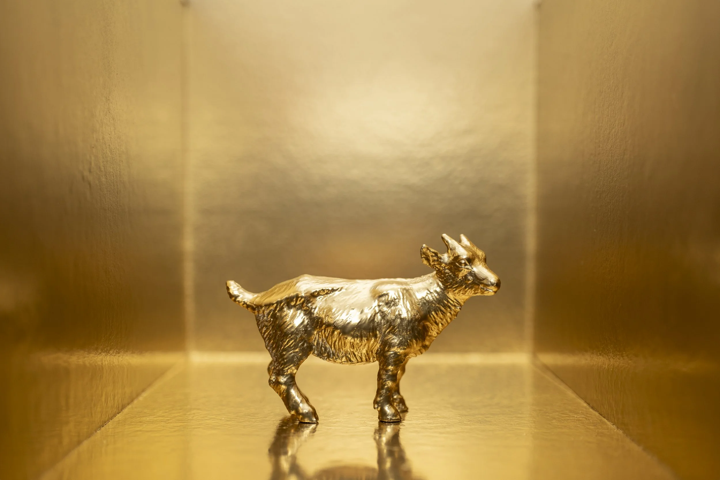 Goat003.jpg