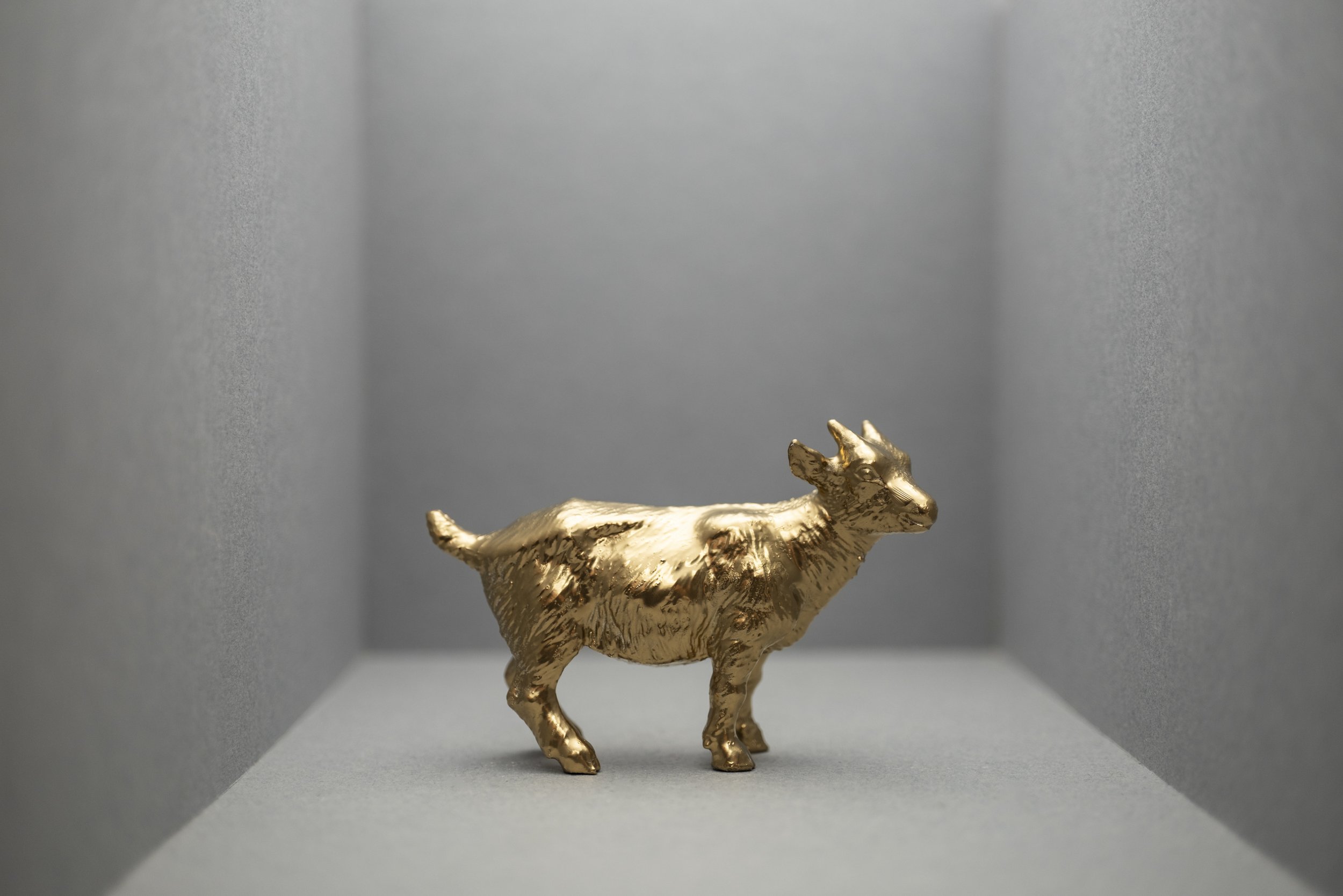 Goat004.jpg