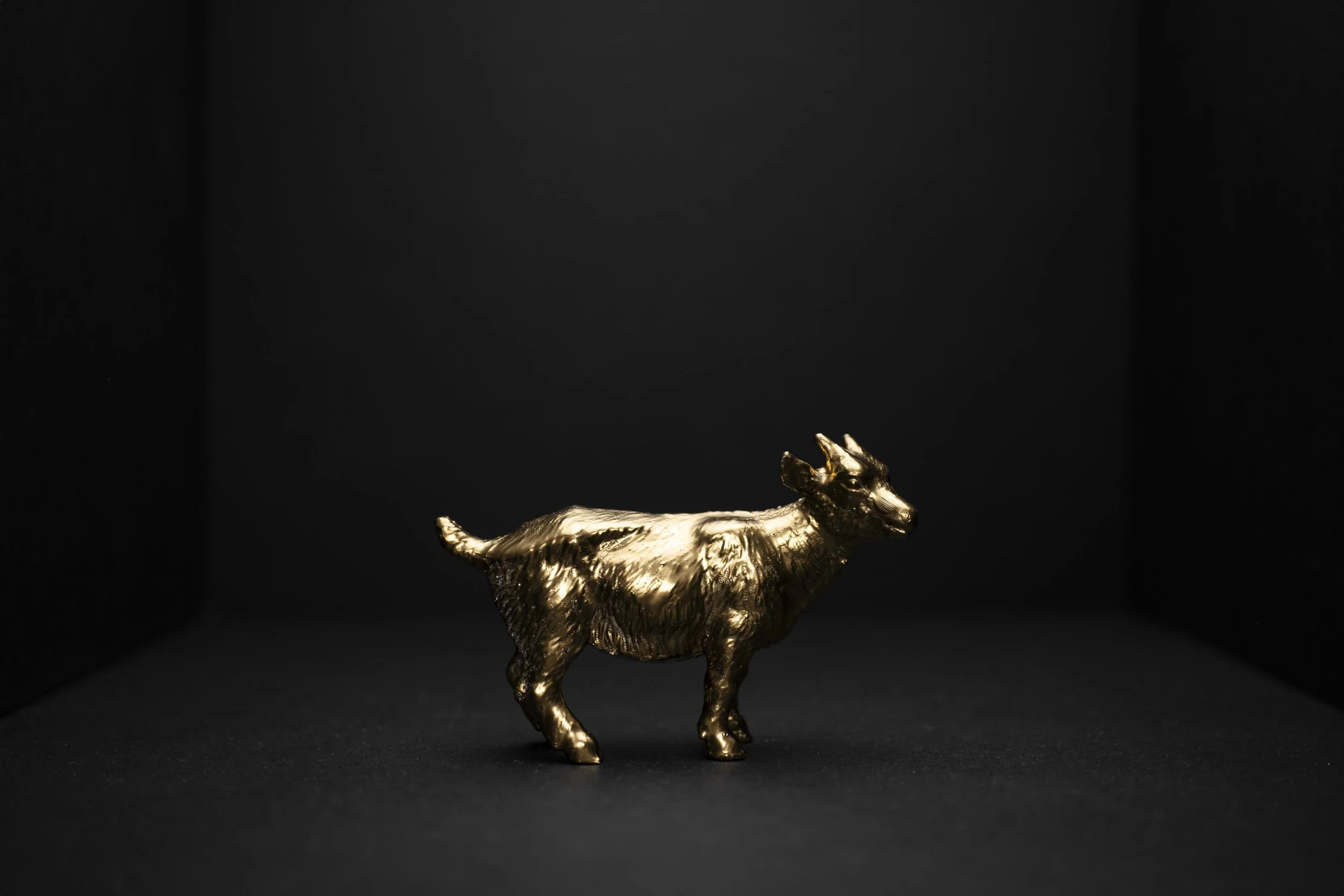 Goat005.jpg