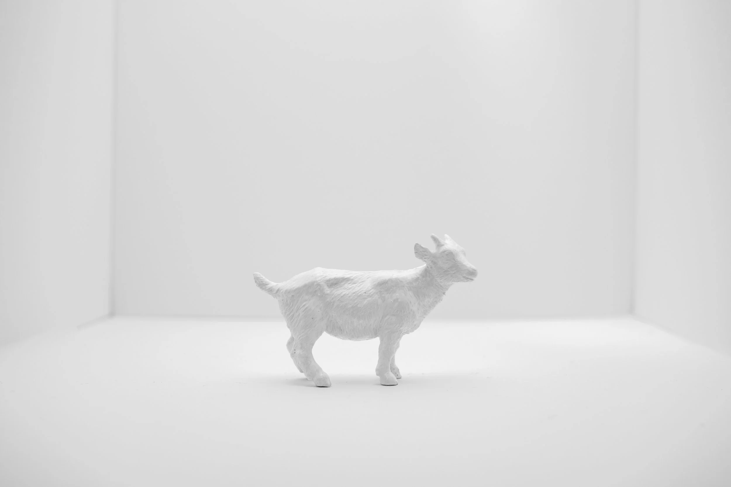 Goat006.jpg