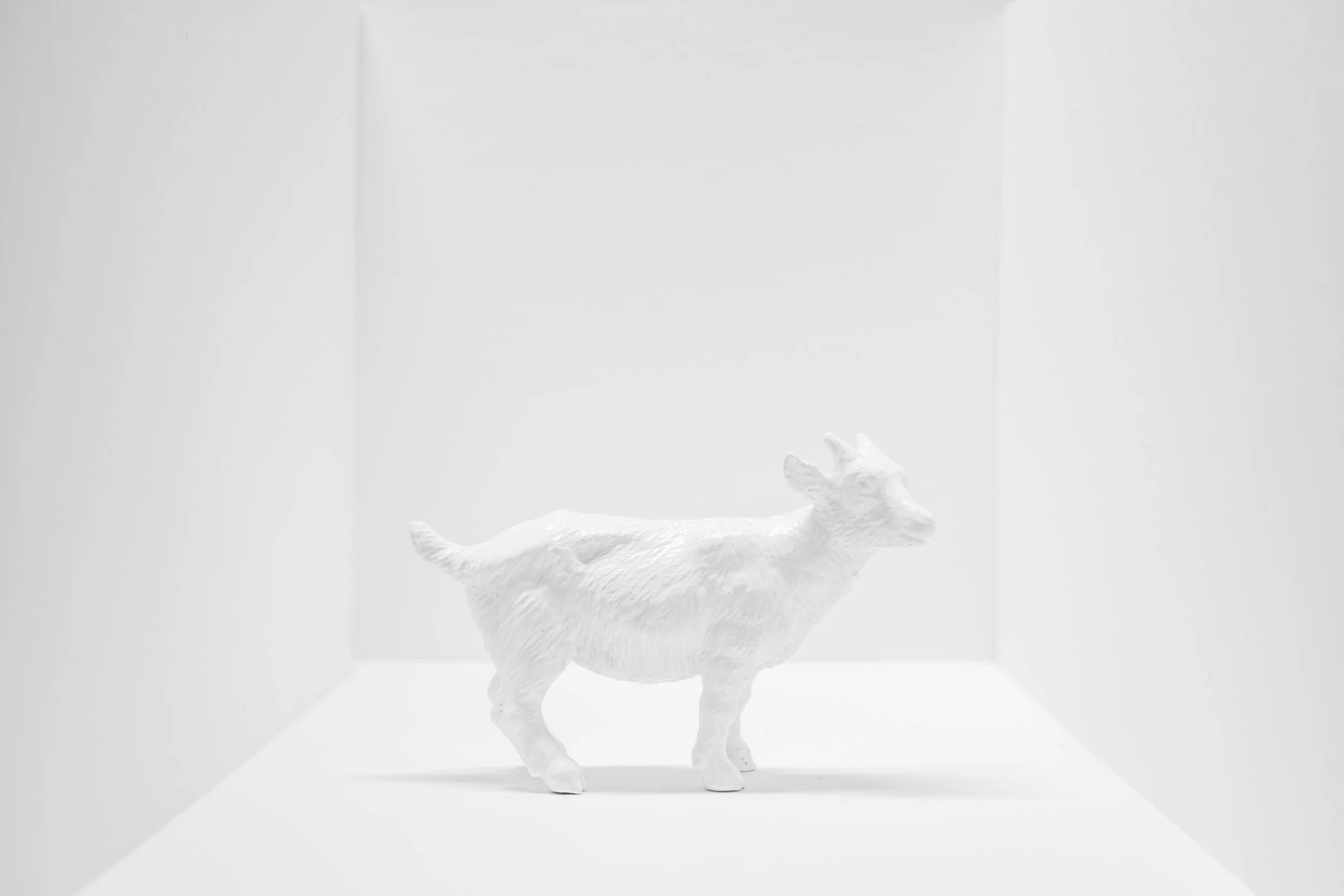 Goat007.jpg