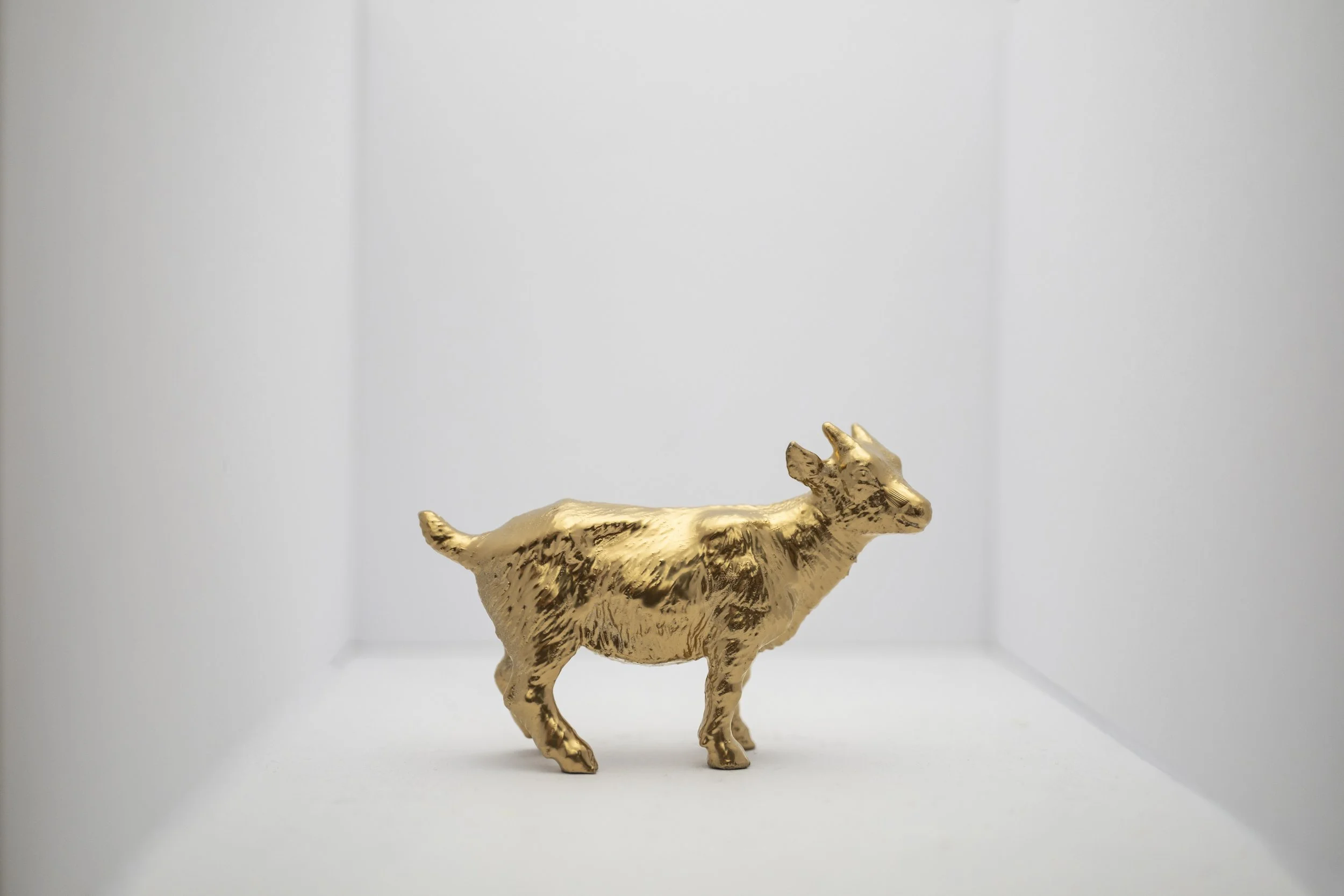 Goat008.jpg
