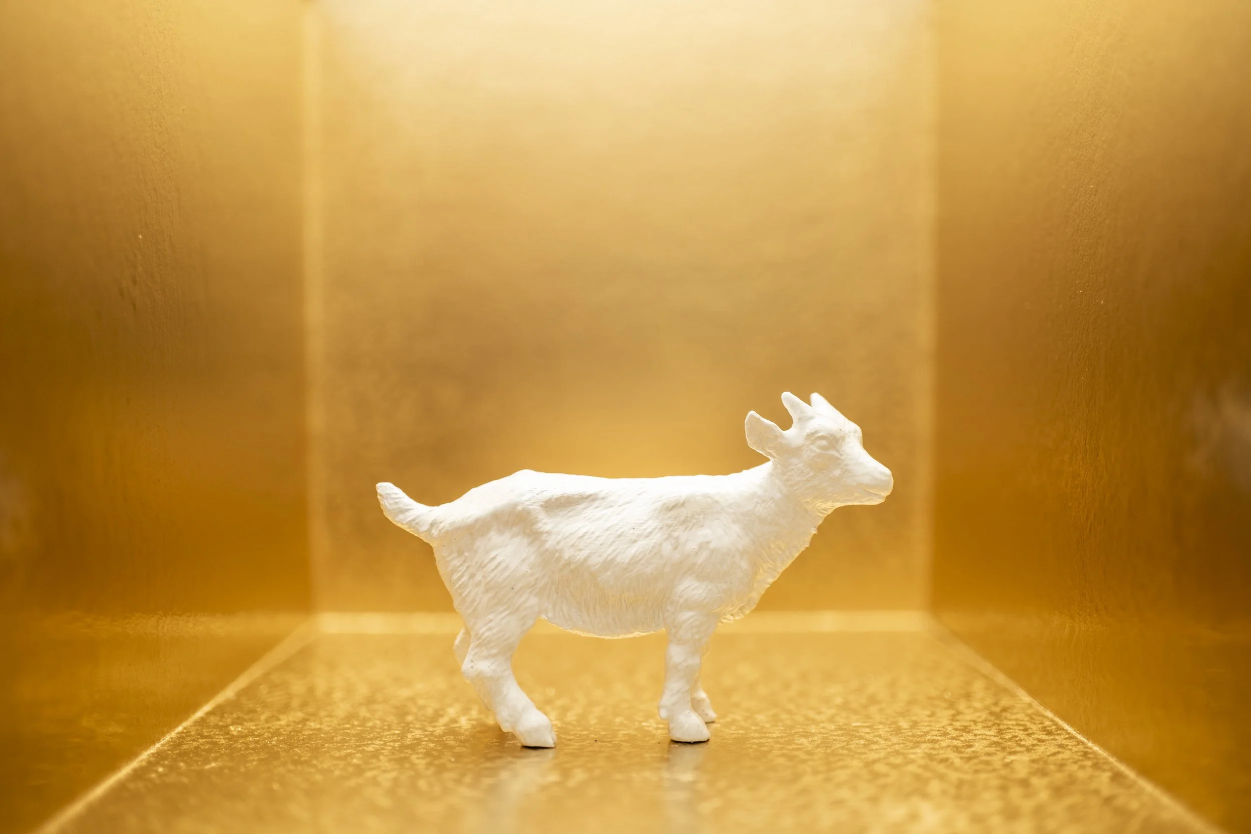 Goat009.jpg