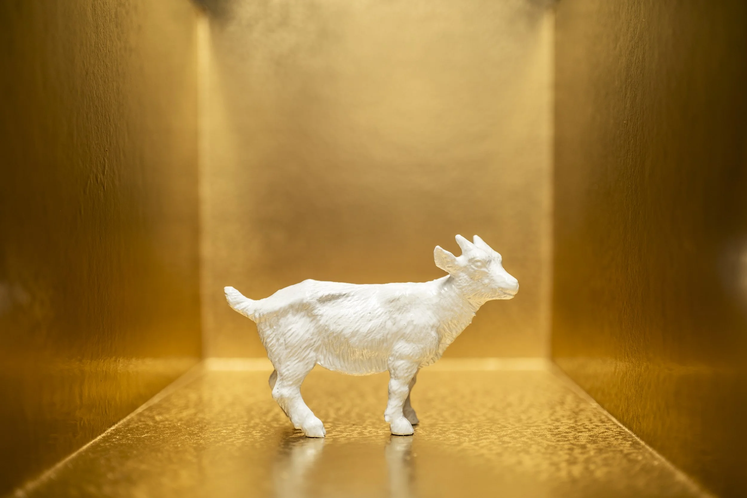 Goat011.jpg