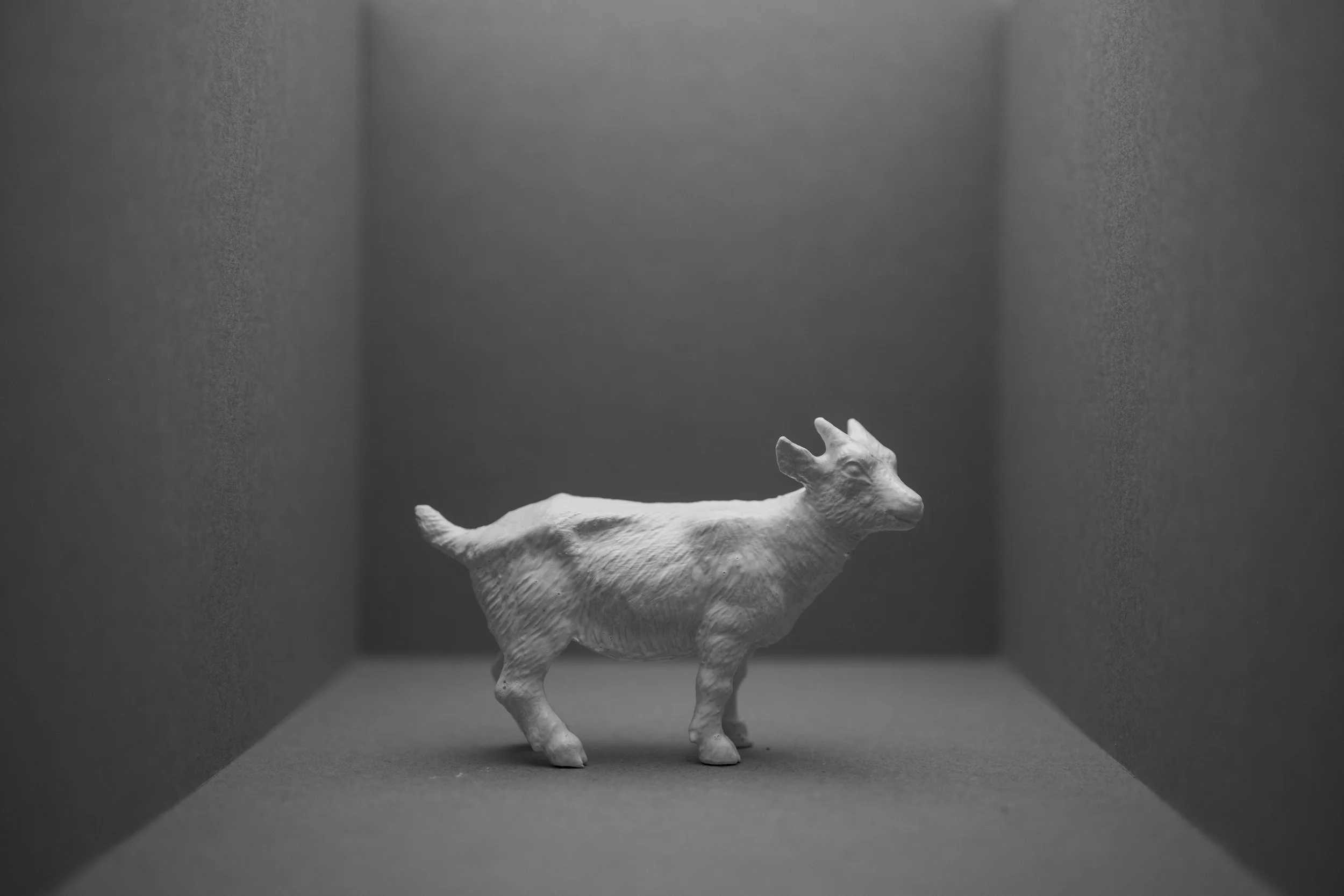 Goat012.jpg
