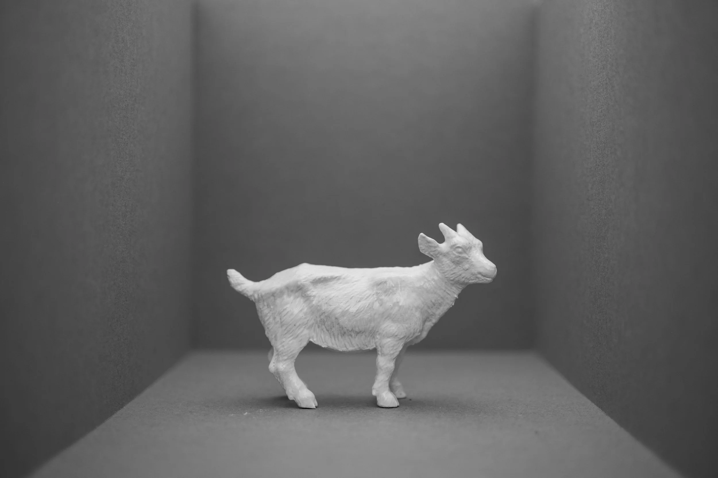 Goat013.jpg