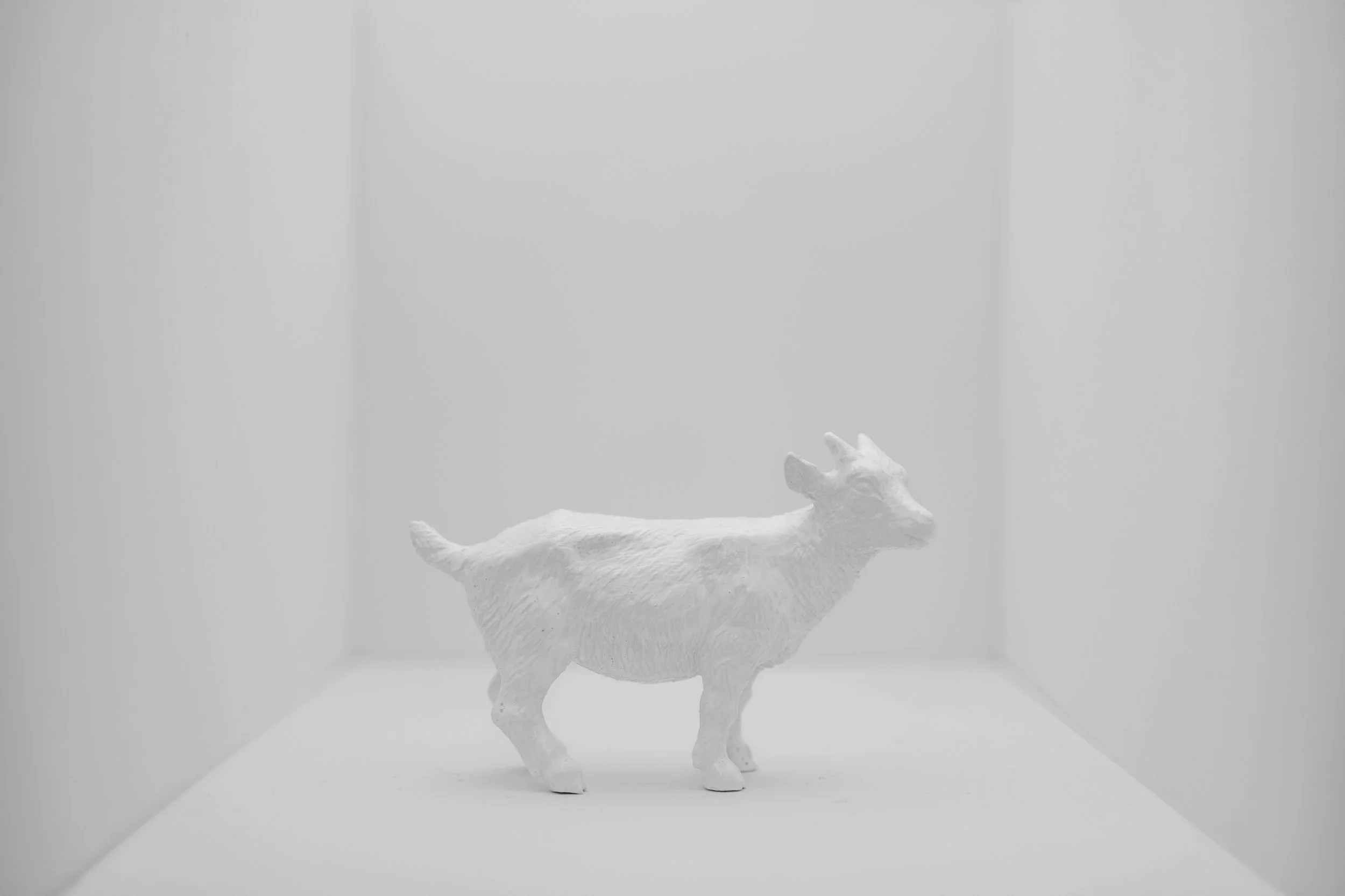 Goat014.jpg