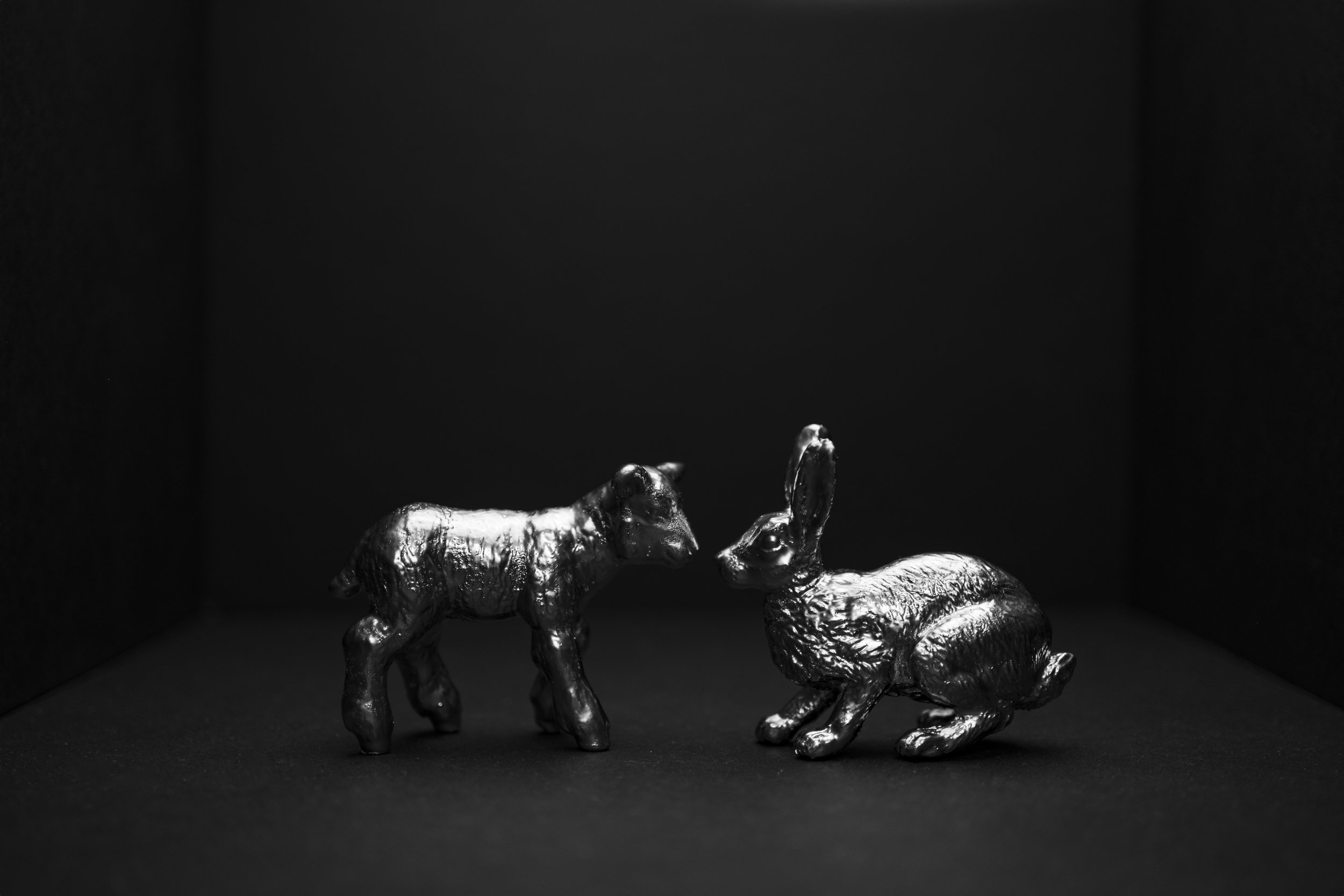 AnimalDrama002.jpg