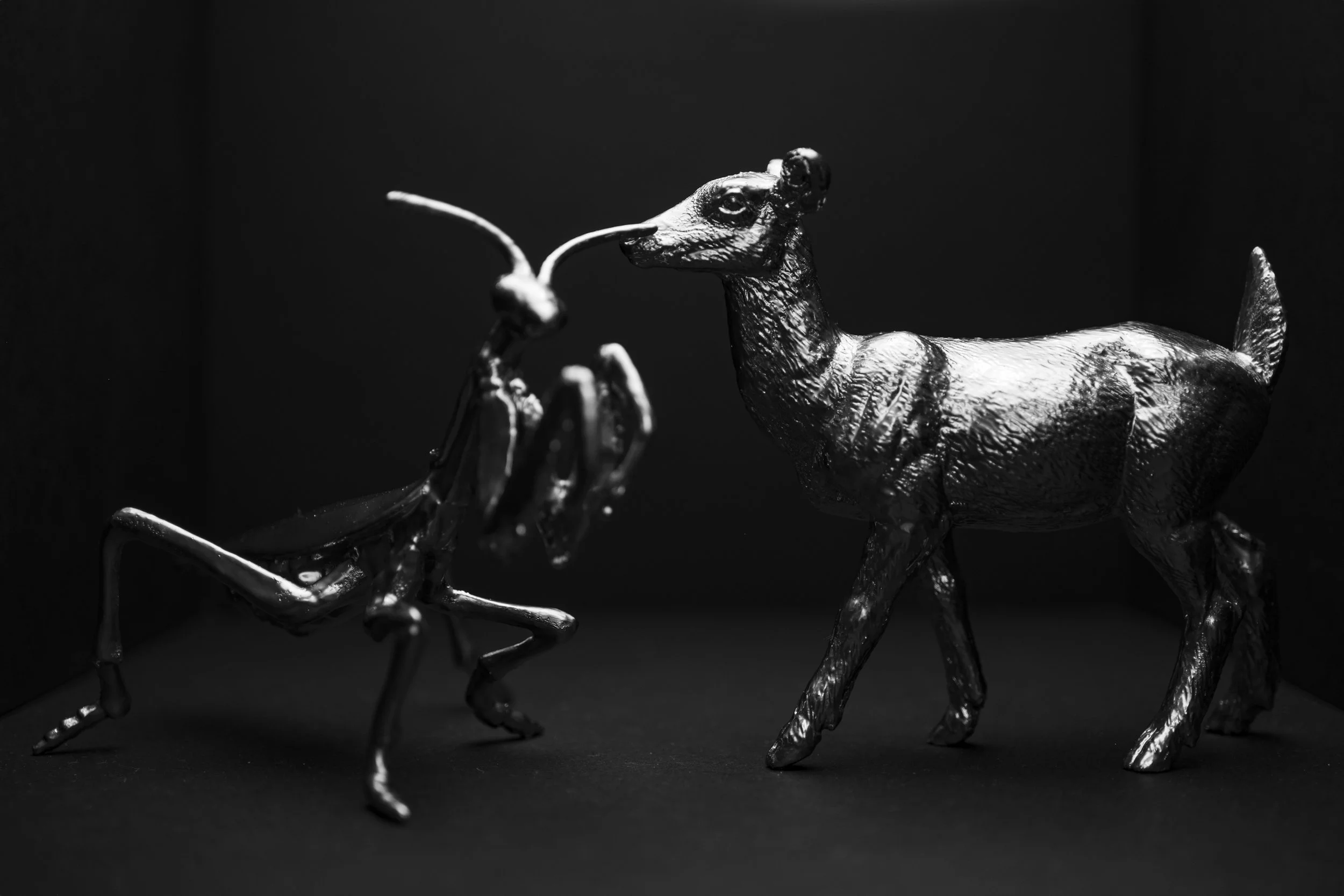 AnimalDrama001.jpg