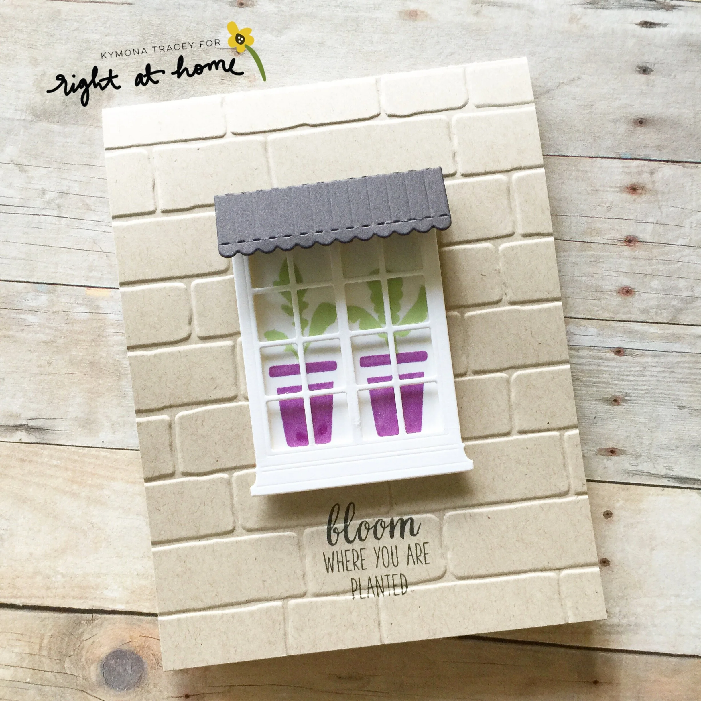 Bloom Where You Are Planted Window Card by Kymona // Let Love Grow Spring Release