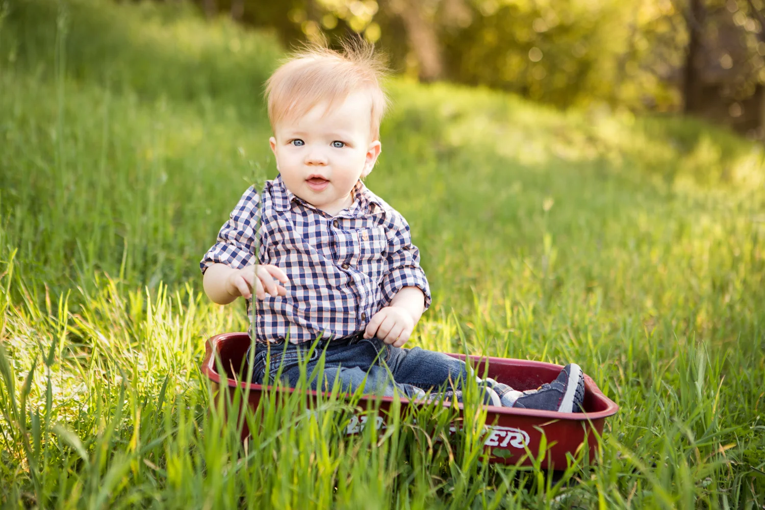 Folsom Children Photography Luminis Studio
