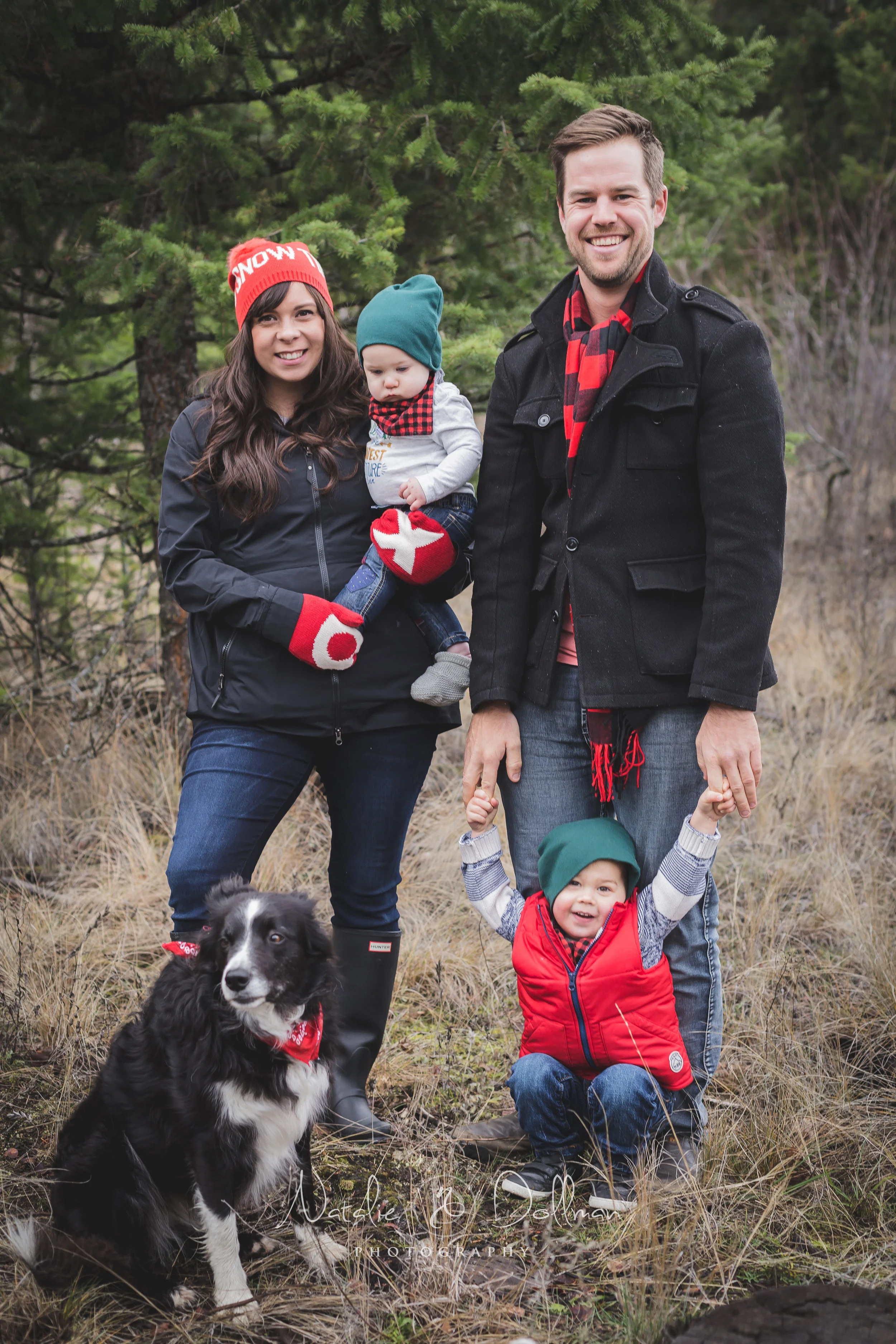 HolidayMiniVanderSneak-6.jpg