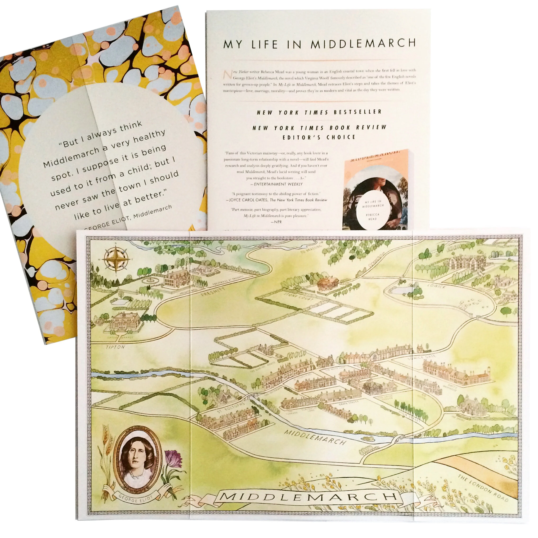 Middlemarch Map — Caitlin Kuhwald Illustration