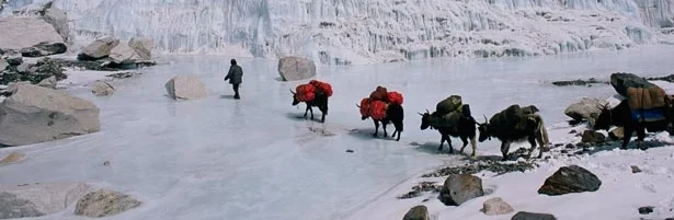 sherpas-615.jpg