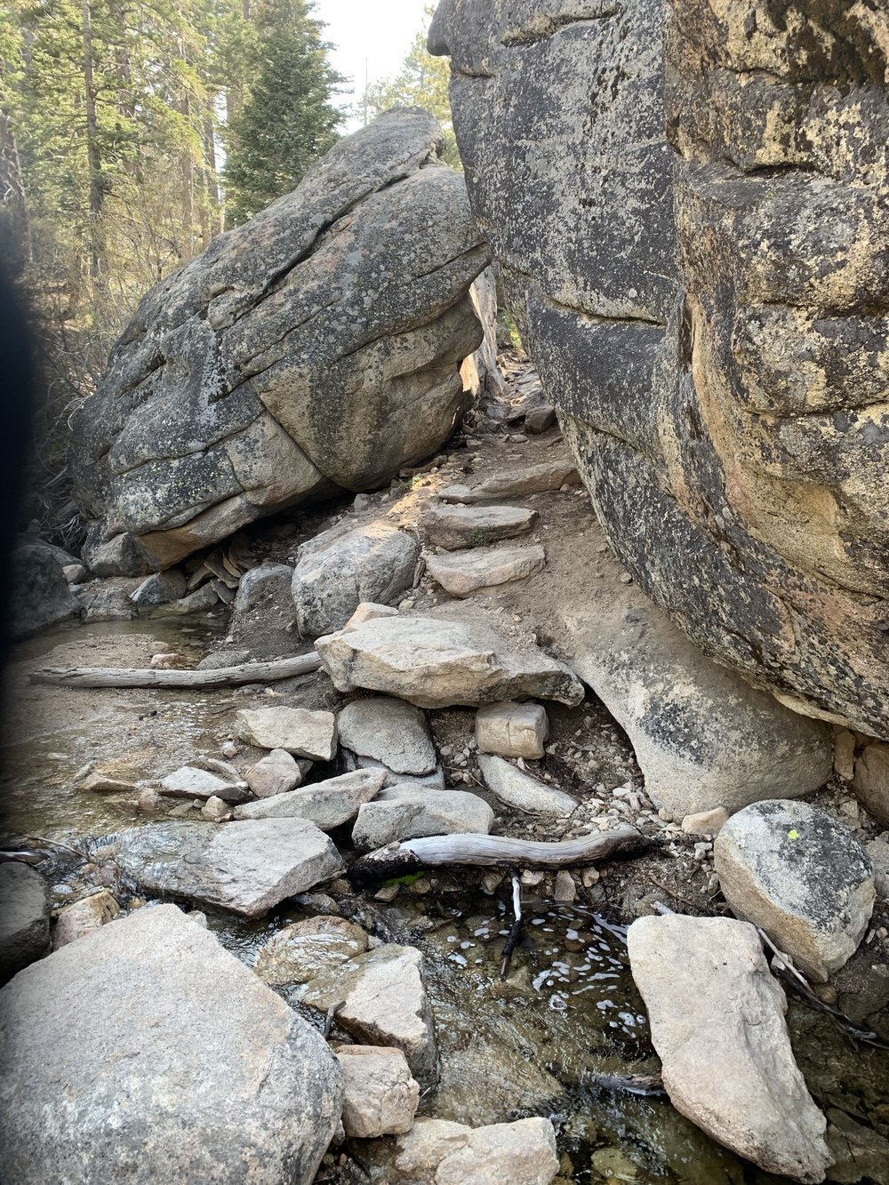 4. Detours happen . Plan for it. We decided to boulder up a waterfall instead of take the trail. It was a blast but I had to use my GPS, walk over a long fallen tree trunk to cross a stream and maneuver through unfamiliar territory to get back on the trail afterward. This photo reveals some almost stairway like stones that led out of a stream to get us around a rock fall. Sometimes our guests will have some life happen and not return your contacts to get them trained for a new role. Sometimes they won’t finish your on-boarding sessions and opt to finish at a later date. Plan for it and know what you will do to leverage that rather than just let them go into the sunset unconnected.