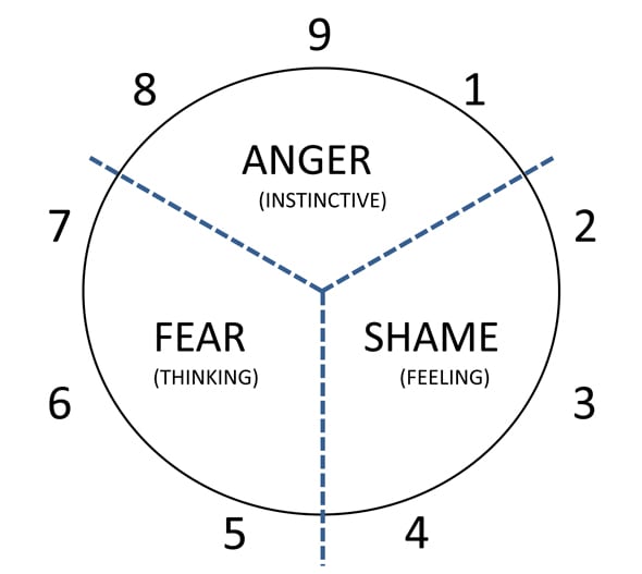 The driving emotion and source of reaction of each triad of the Enneagram.