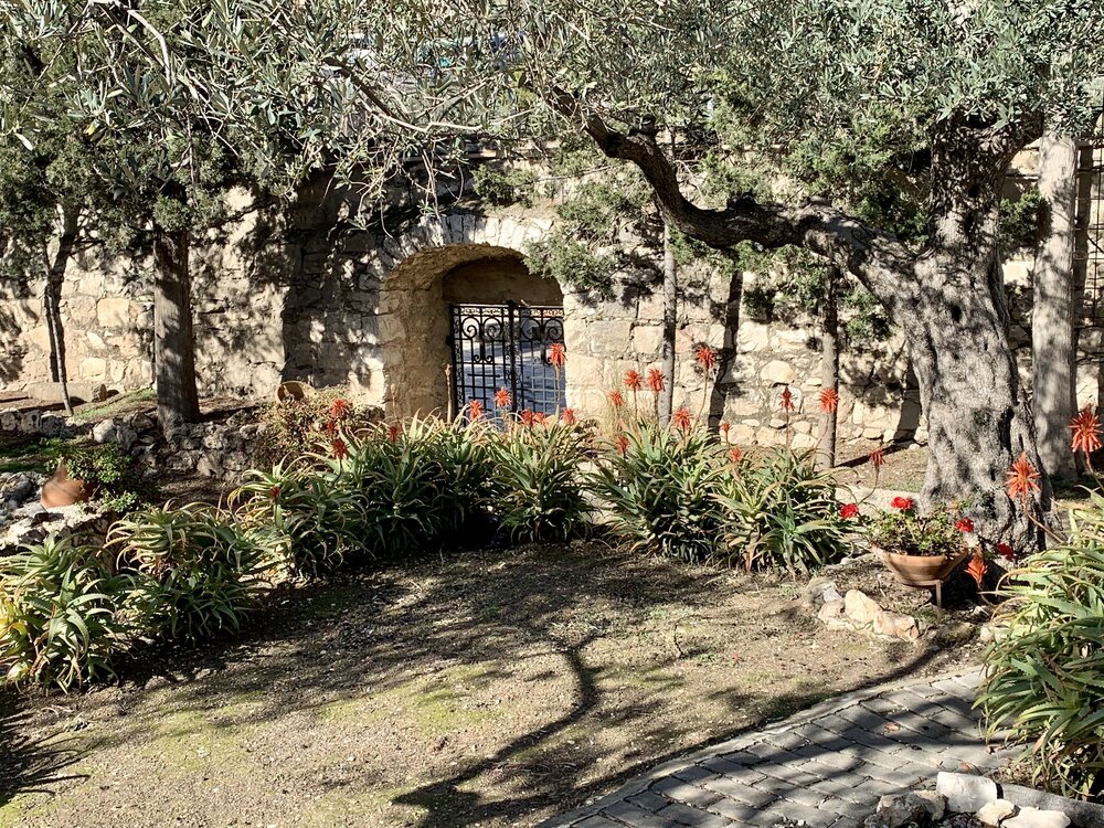 This photo is of a small corner of a large section of the Garden of Gethsemane walled off for private prayer. This was why we ignored our swollen knees and kept walking downhill and it was so worth it.