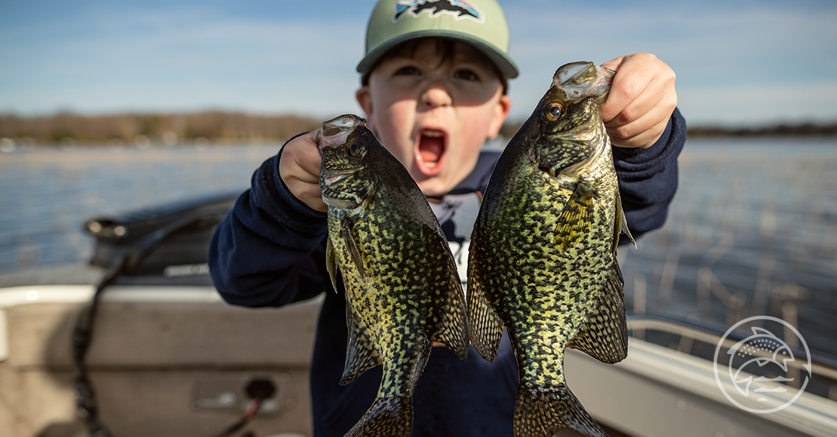 Fisheries_Kid_Fish_1200x627.png