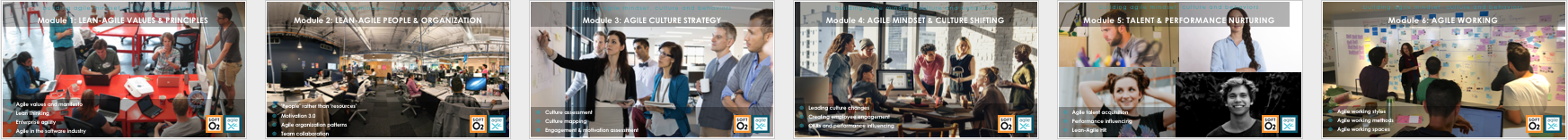 agile-culture-module-index-6horiz.png