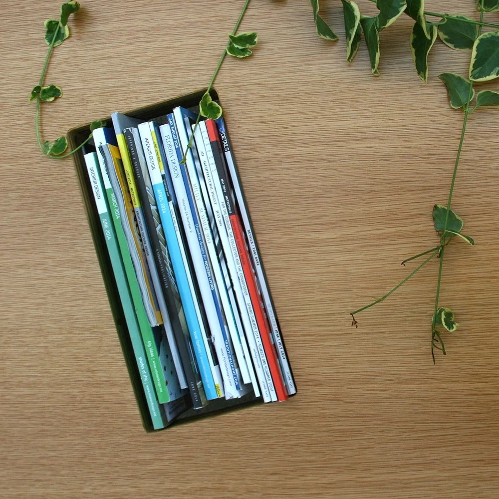 Recessed magazine trough