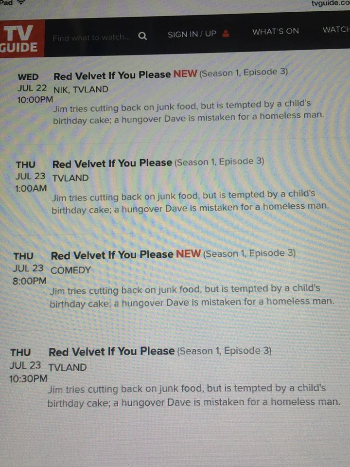 THE JIM GAFFIGAN SHOW