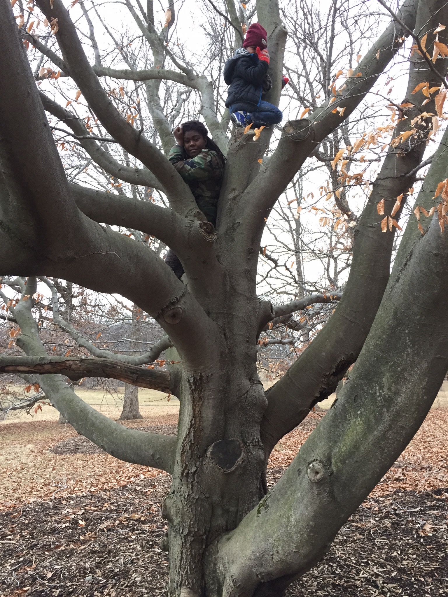 This was our first time climbing trees together. He was absolutely shocked to find out that it is actually something I did VERY often as a kid and I still got it. 