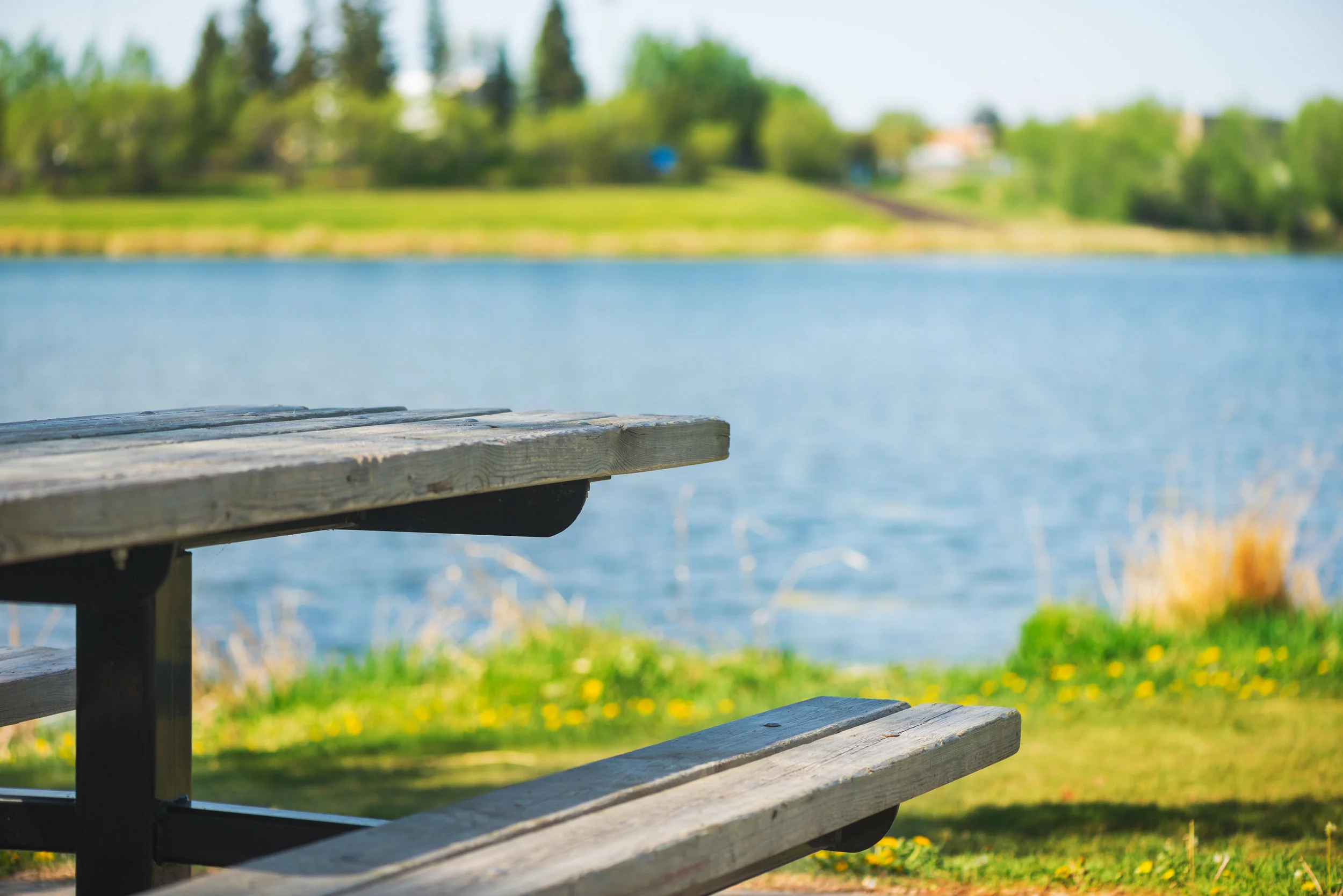 Picnic-table-near-a-lake-476646024_3865x2580.jpeg