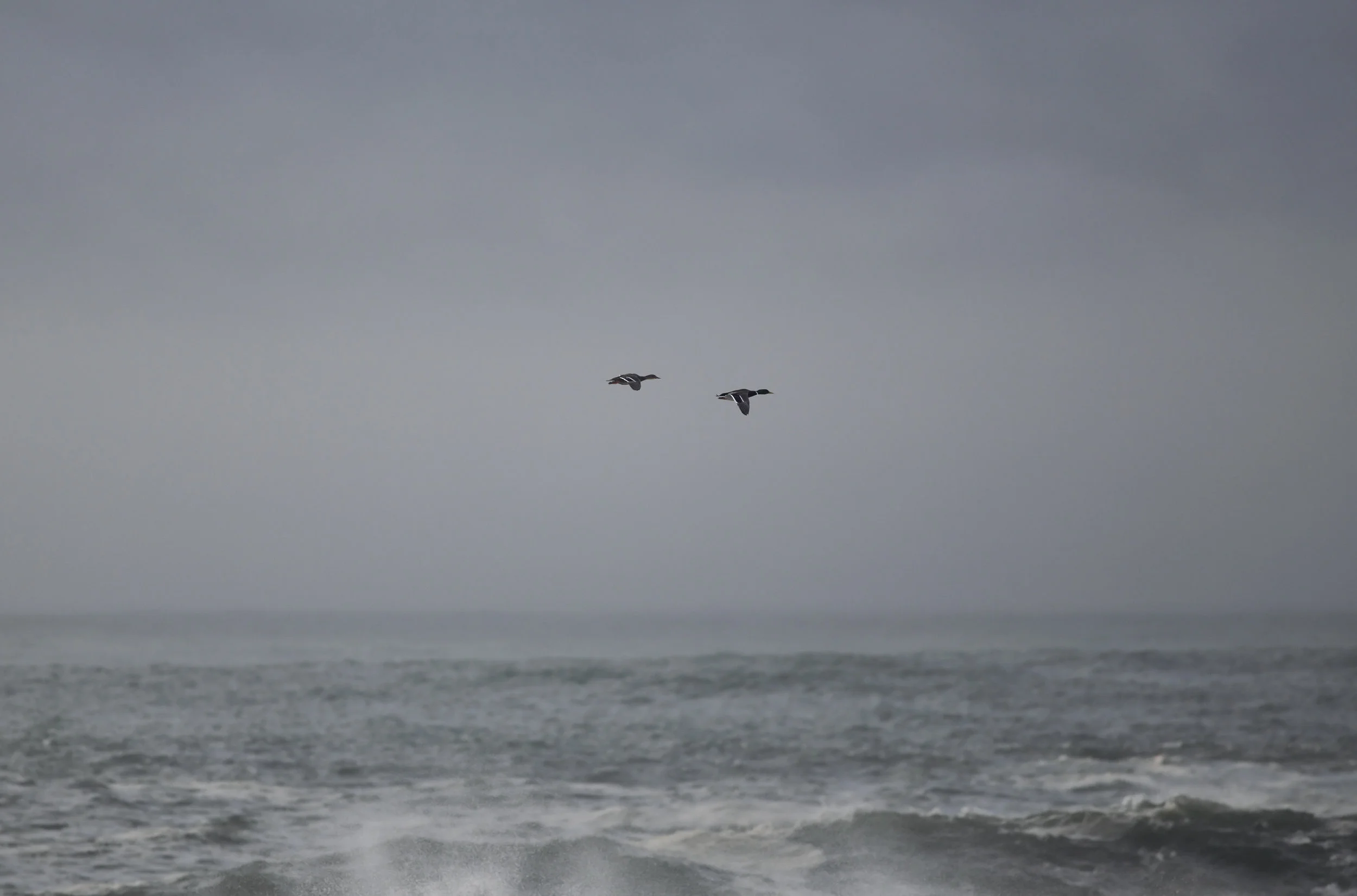 “Raining.”