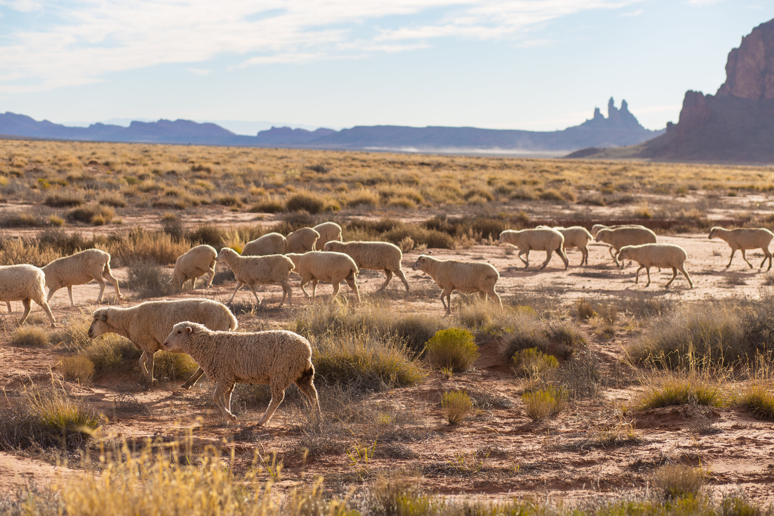 While We Speed Through Monument Valley