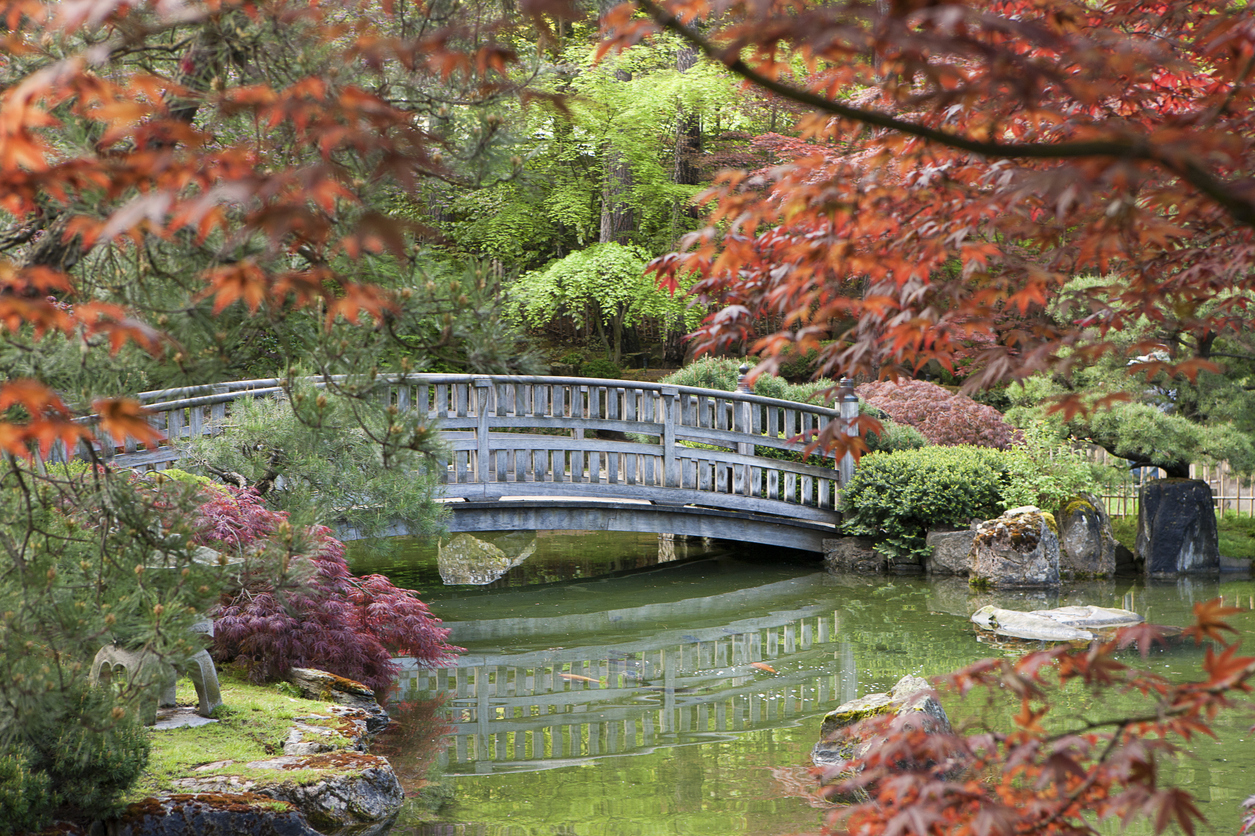 Japanesegarden.jpg