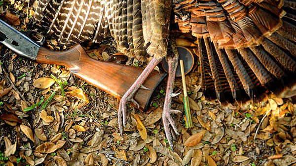 Ep. 7 – Turkey Day