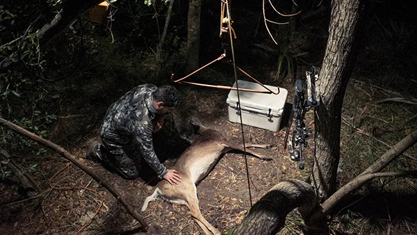 Ep. 5 – Oh Deer