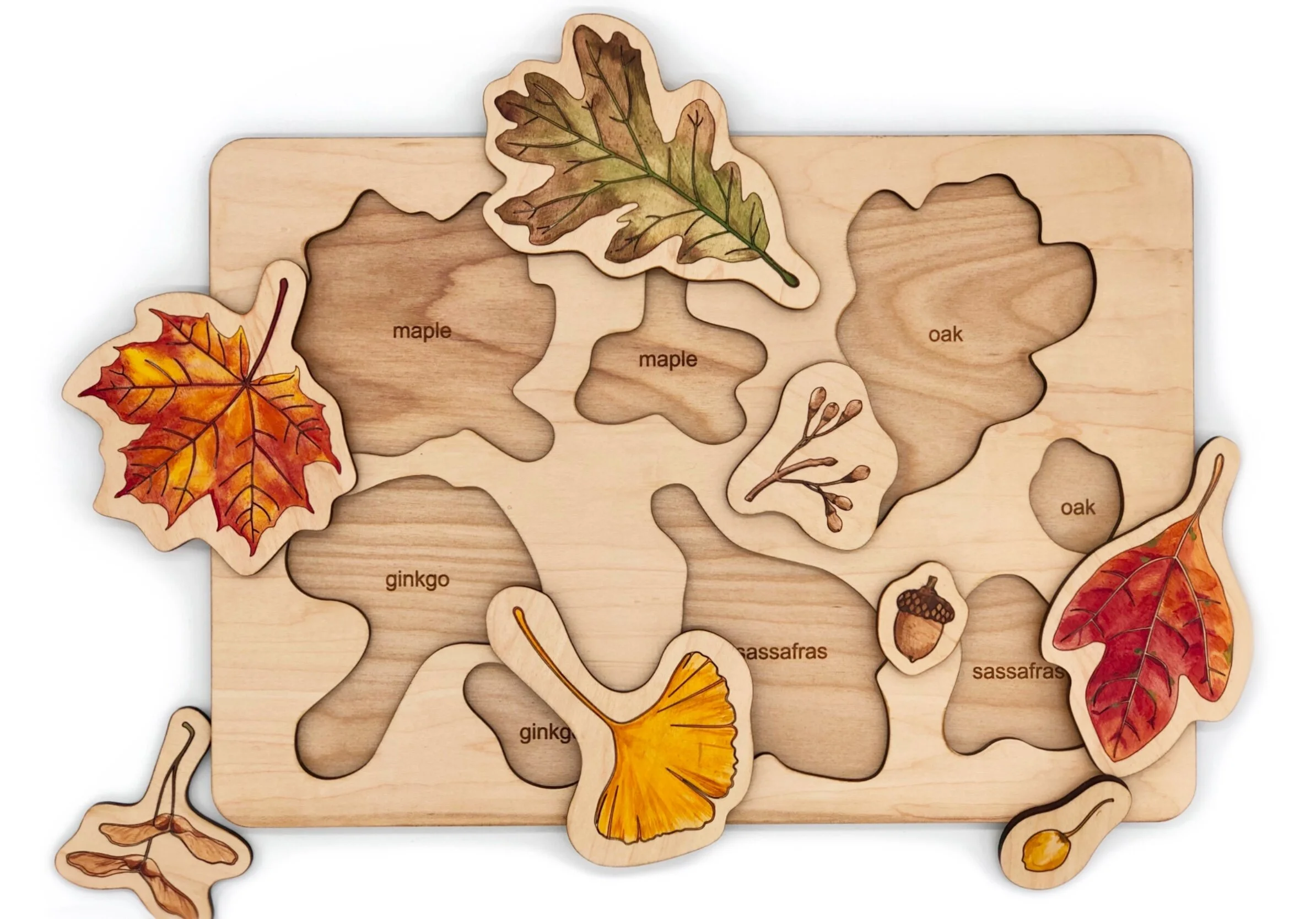 Wooden_Puzzle_Fall_Leaves_Seeds.jpg